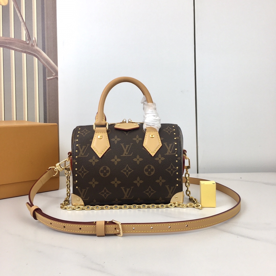 Louis Vuitton Speedy 20: Classic Monogram Canvas with Rivet Detailing