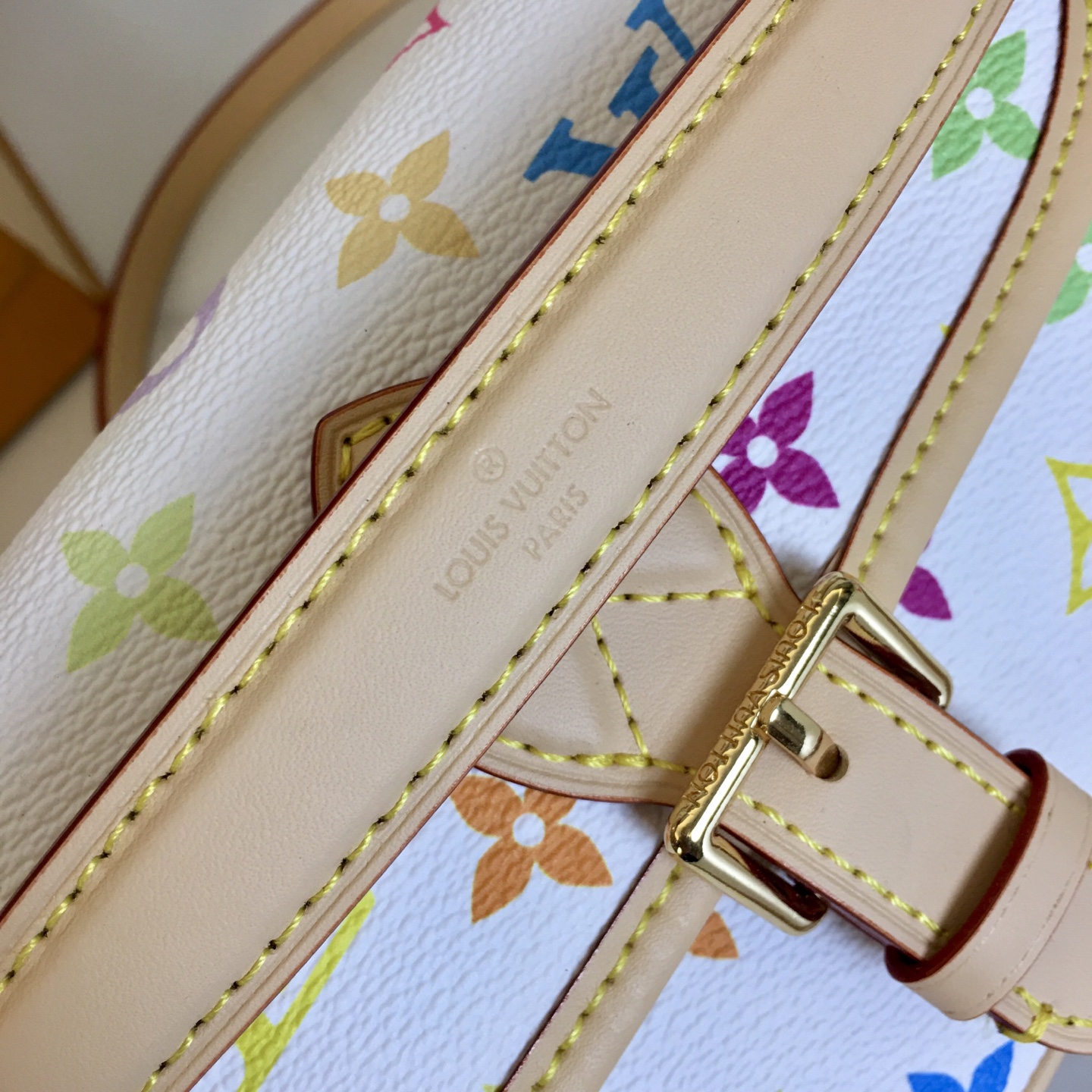 Louis Vuitton Nano Diane Multicolor Monogram Canvas Crossbody Bag 5 i1741540293328 737 0 4
