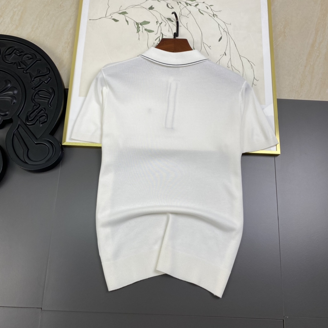 Retro-Inspired TL HERMES EMAZE Polo: Customized, Stylish, Unisex Fashion Statement - 图片 4