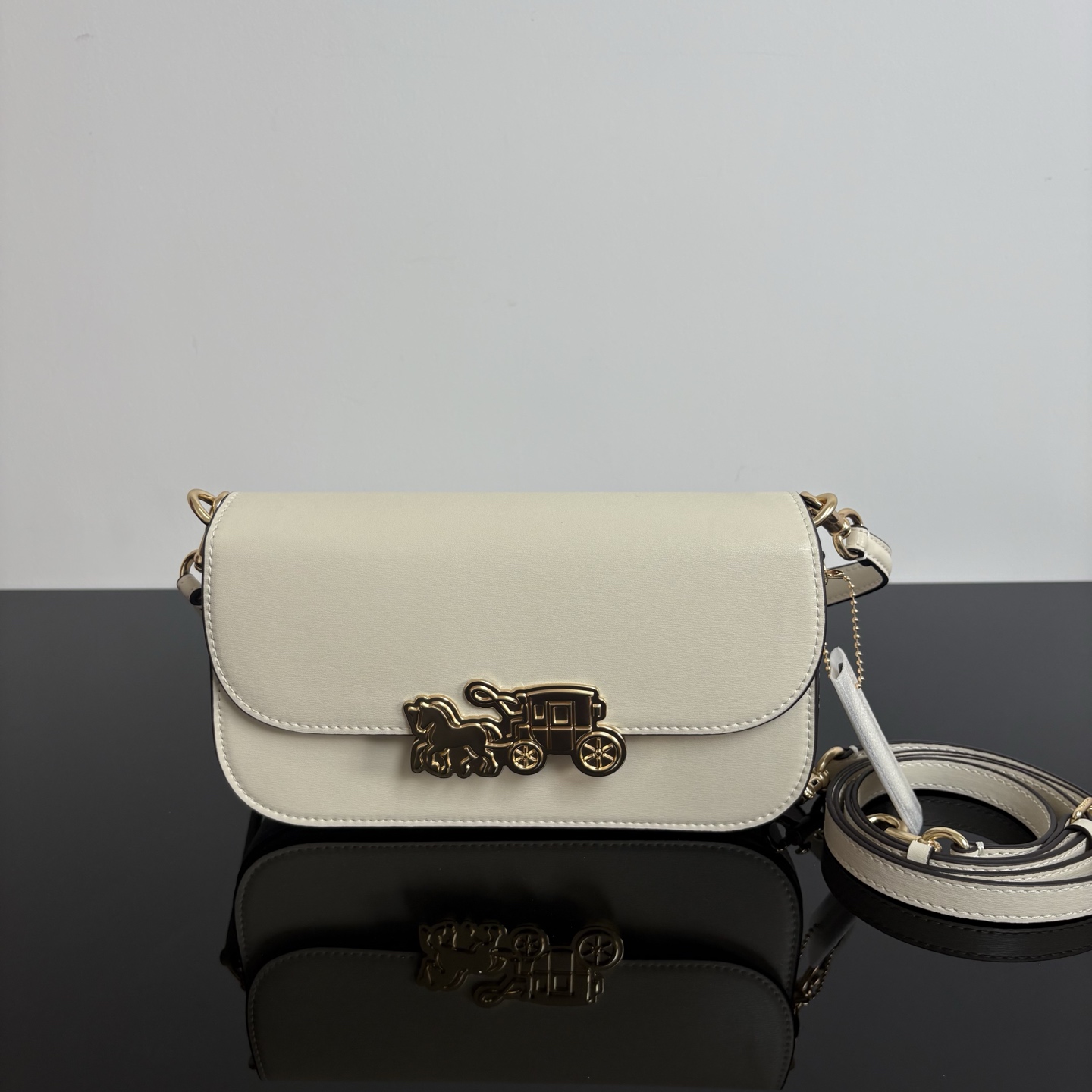 Coach Luxury Bag 0IExNg