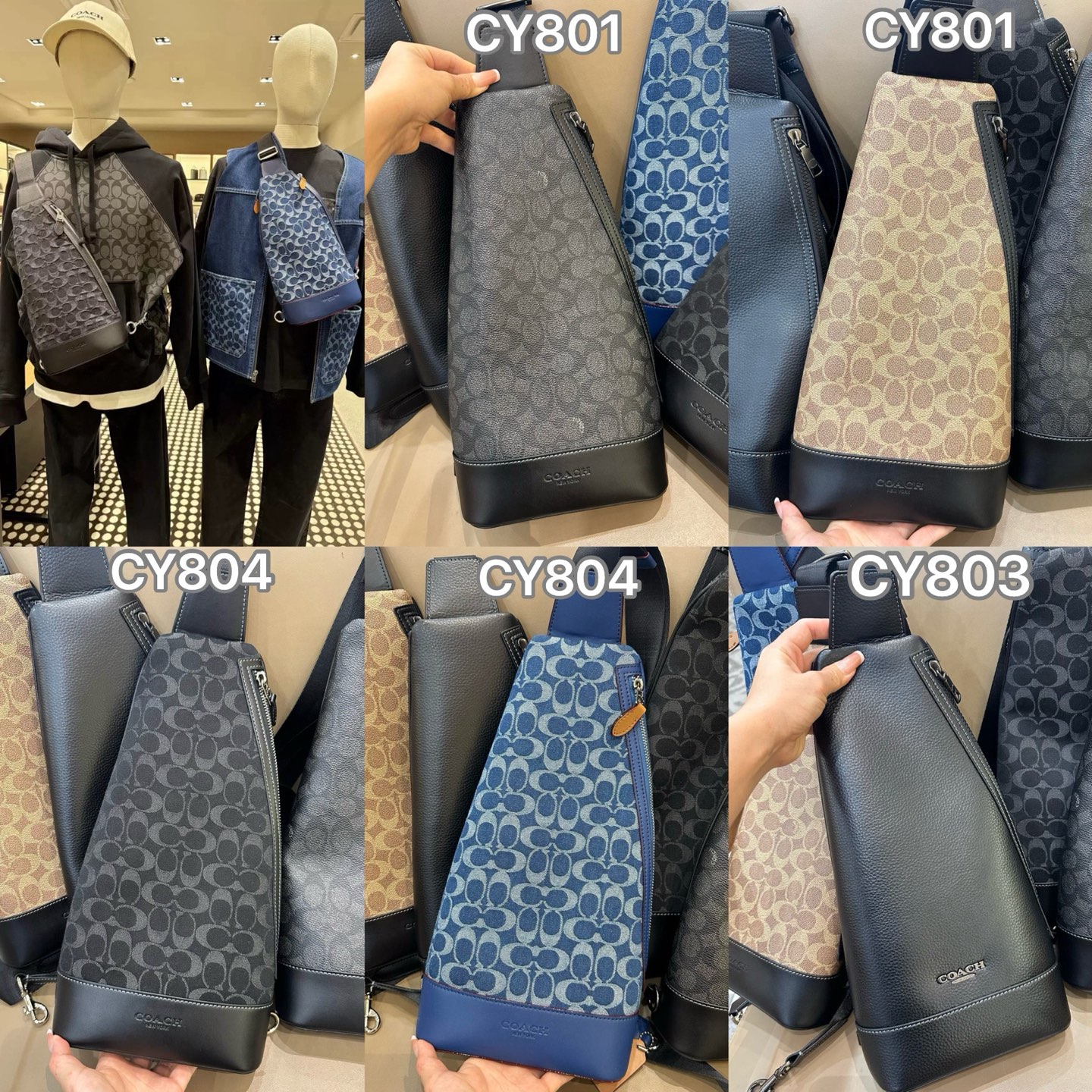 Coach 新款CY801 CY803 CY804 五色 ～