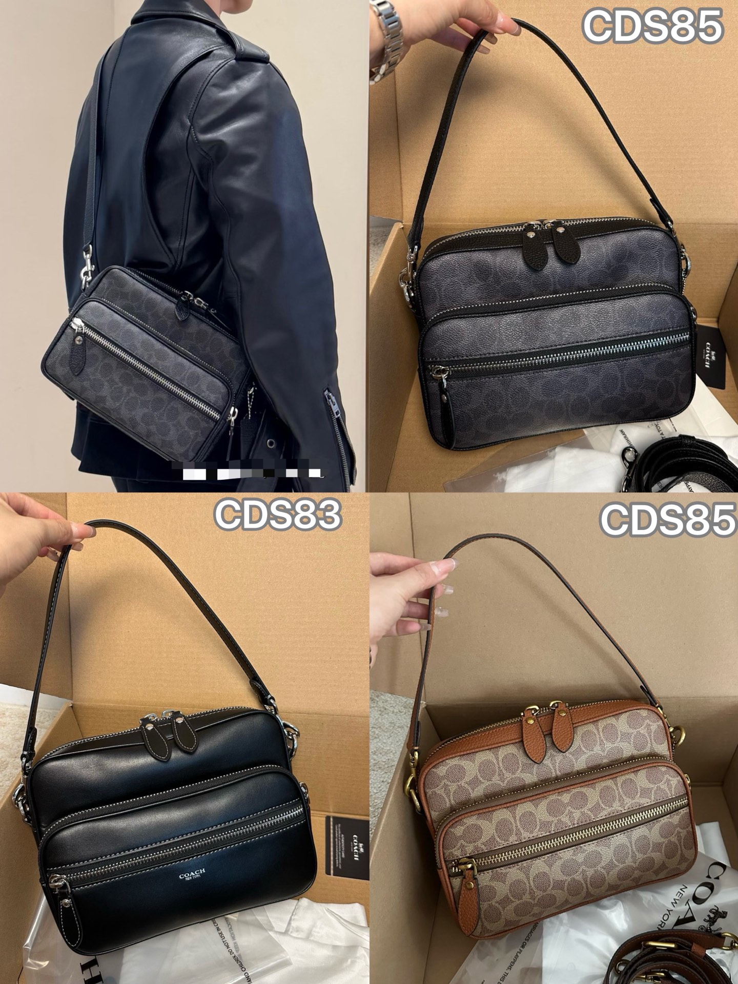 Coach CDS83 CDS85 三色