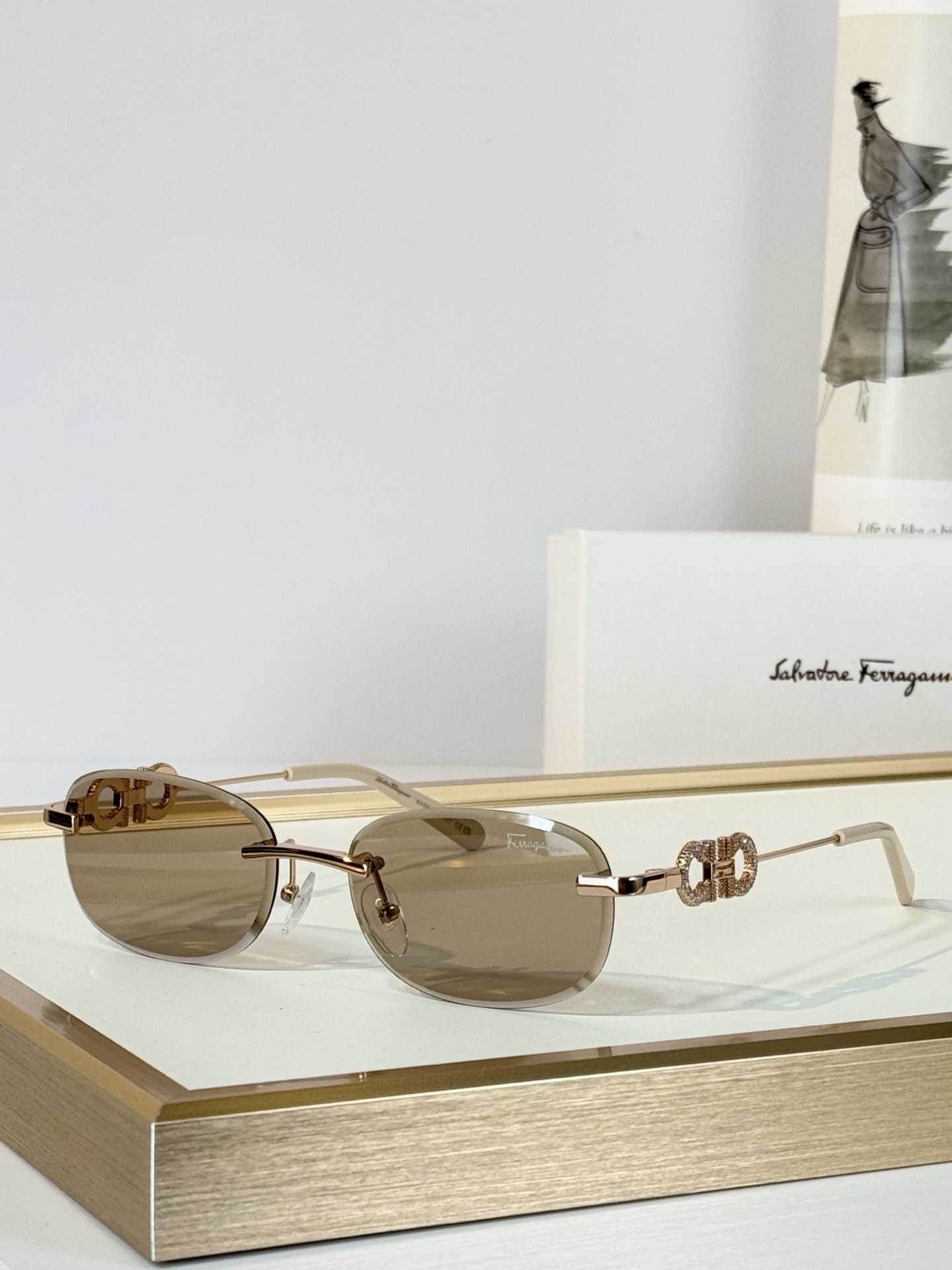Salvatore ferragam*  MODEL：SF1679L SIZE：58口17-145 
