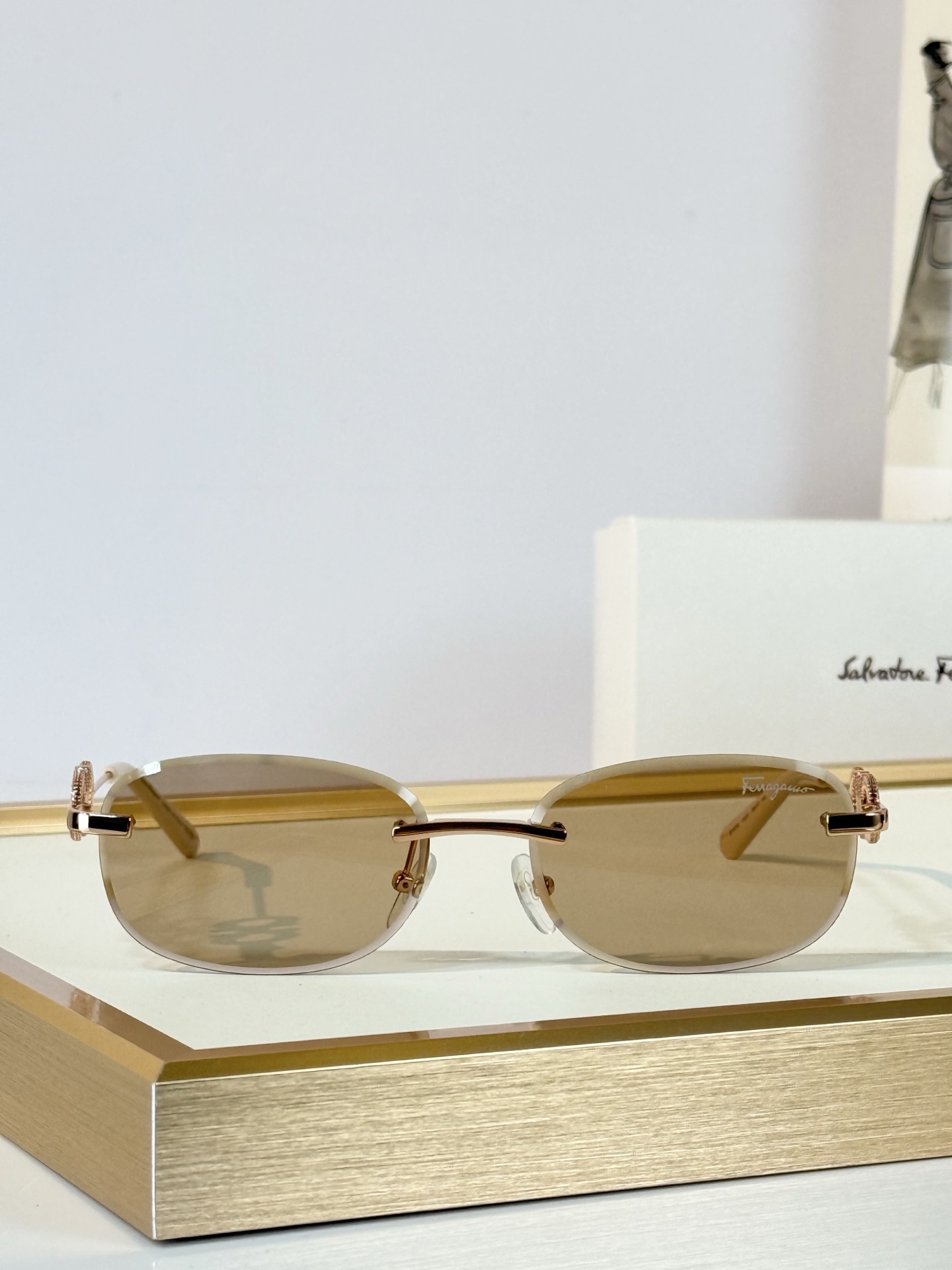 Salvatore ferragam*  MODEL：SF1679L SIZE：58口17-145 