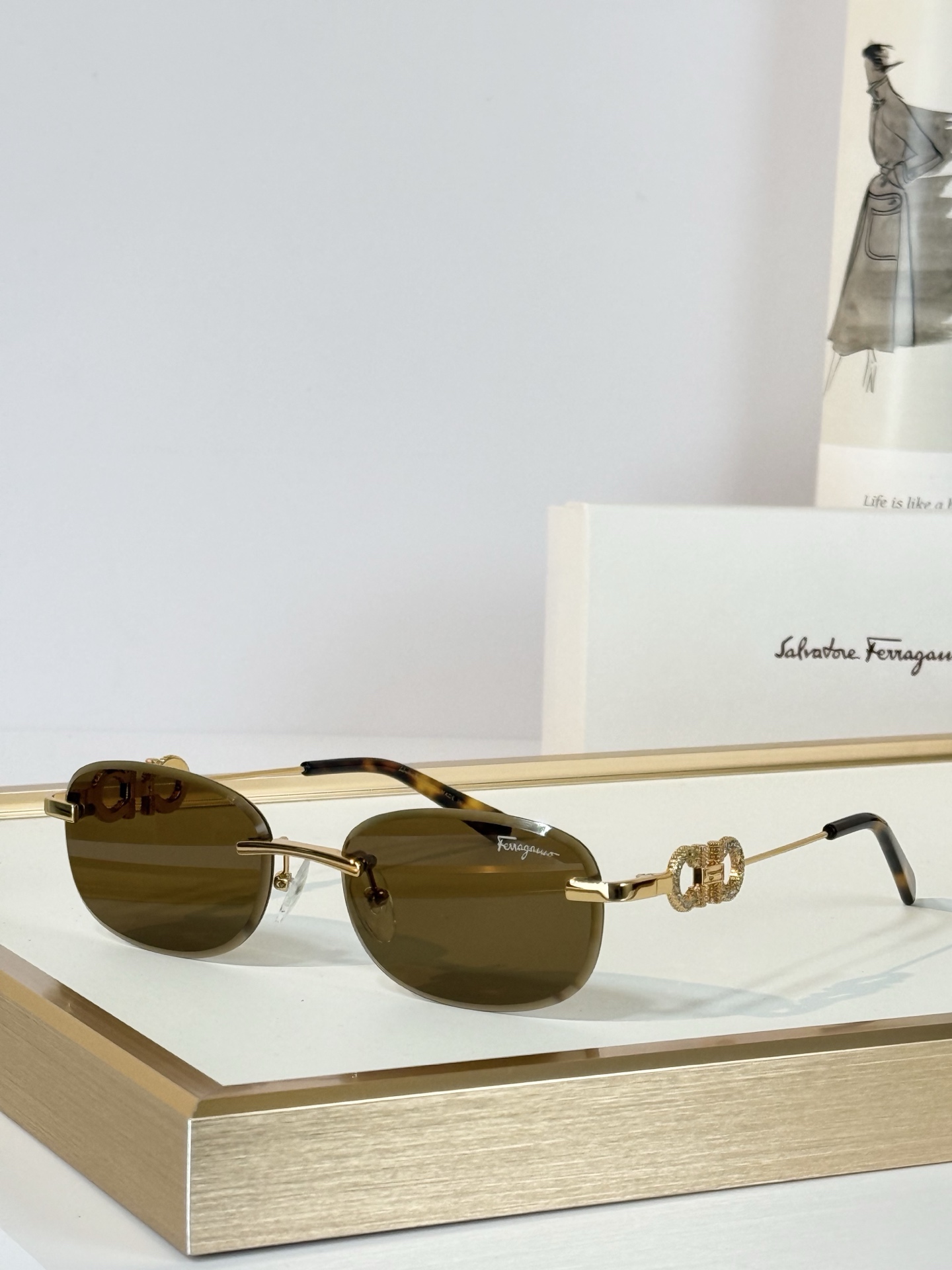 Salvatore ferragam*  MODEL：SF1679L SIZE：58口17-145 