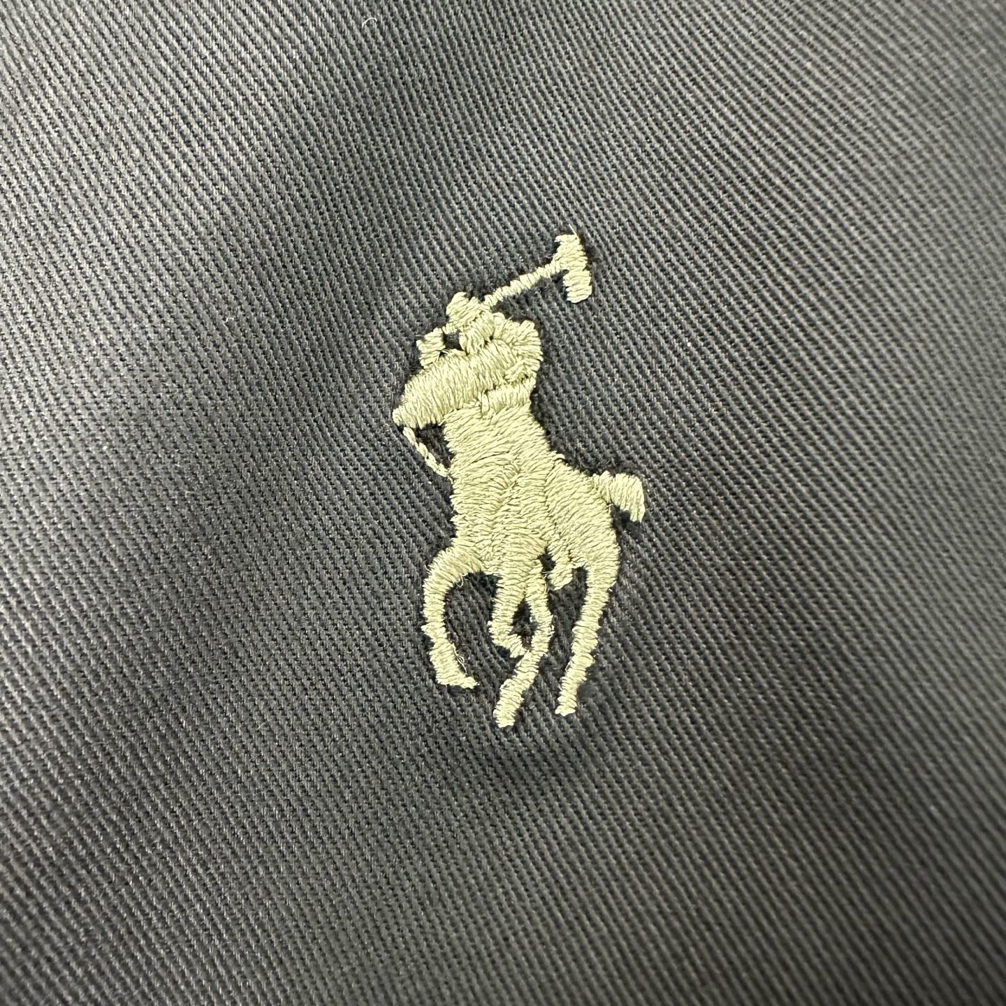 Ralph Lauren Embroidered Pony Jacket: Top Recapture of Classic Style - 图片 9