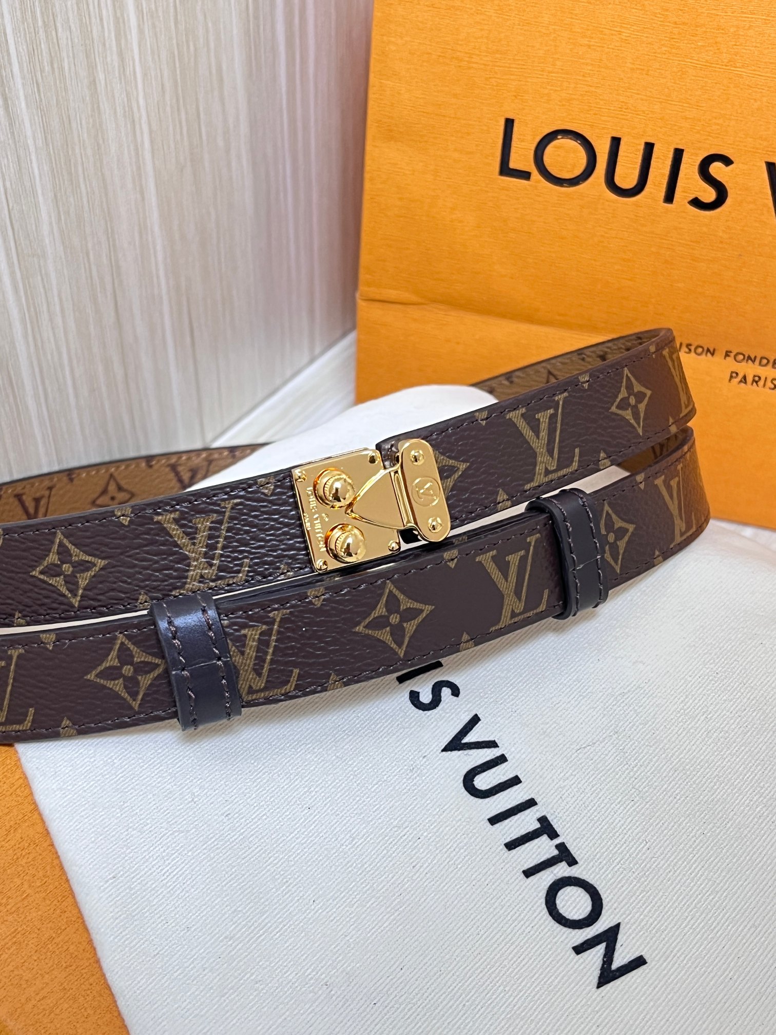 2.0宽双面帆布印花， 腰带取材牛皮革，以耀目 S-Lock 搭扣致意品牌传统硬箱。路易威登标识压纹和 