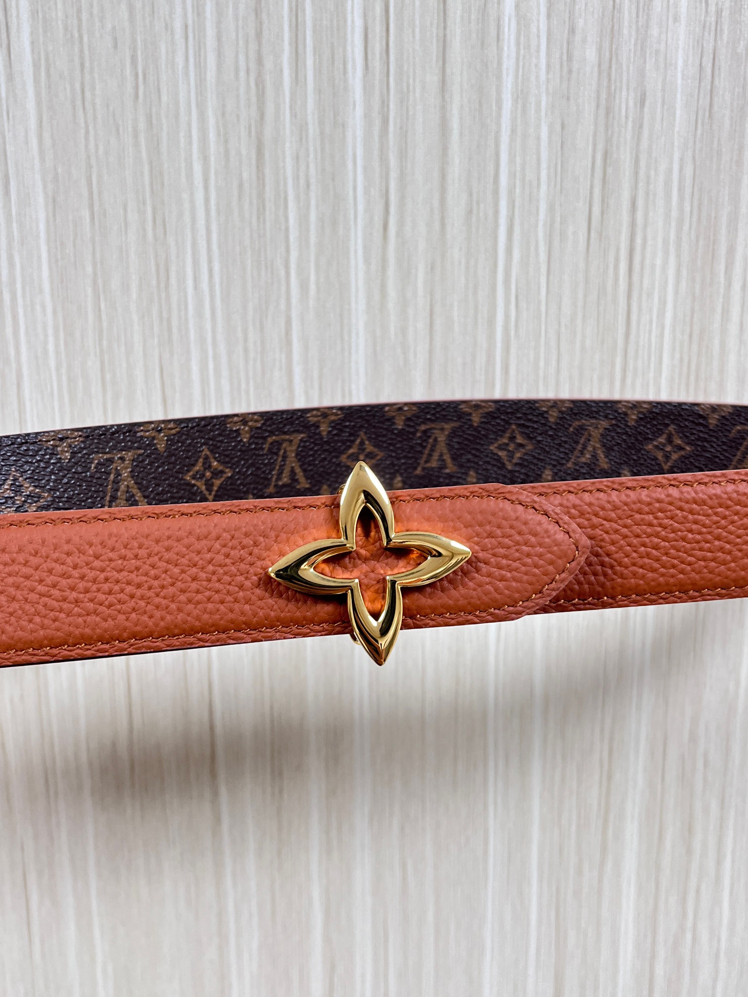 LV Style Leather Women's Belts Lookbook Reference image 2