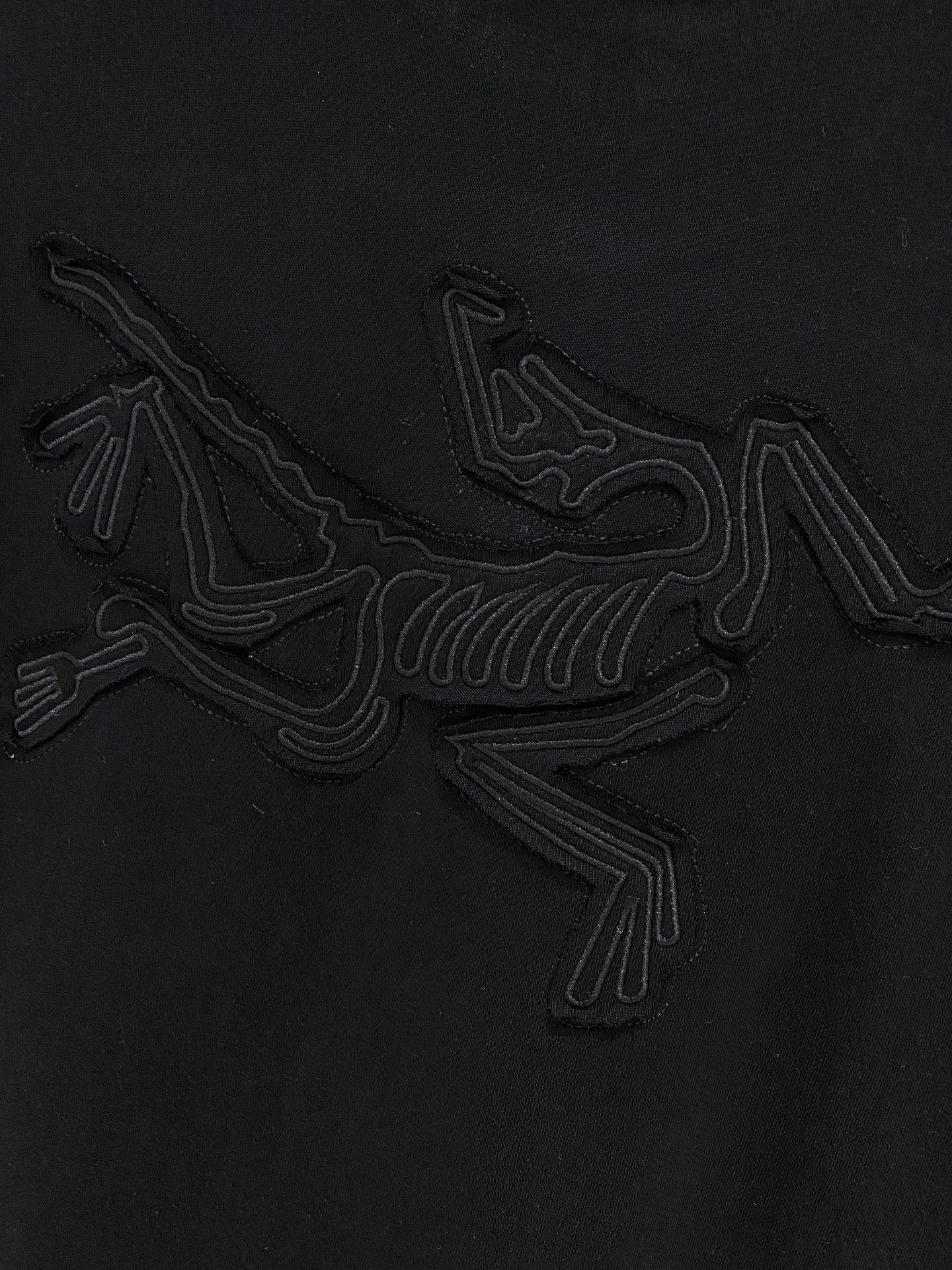 ss始祖鸟纯棉最新面料经典标识图案logo时尚简约潮流短袖，最顶级的品质专柜原单短袖，顶级制作工艺进口面