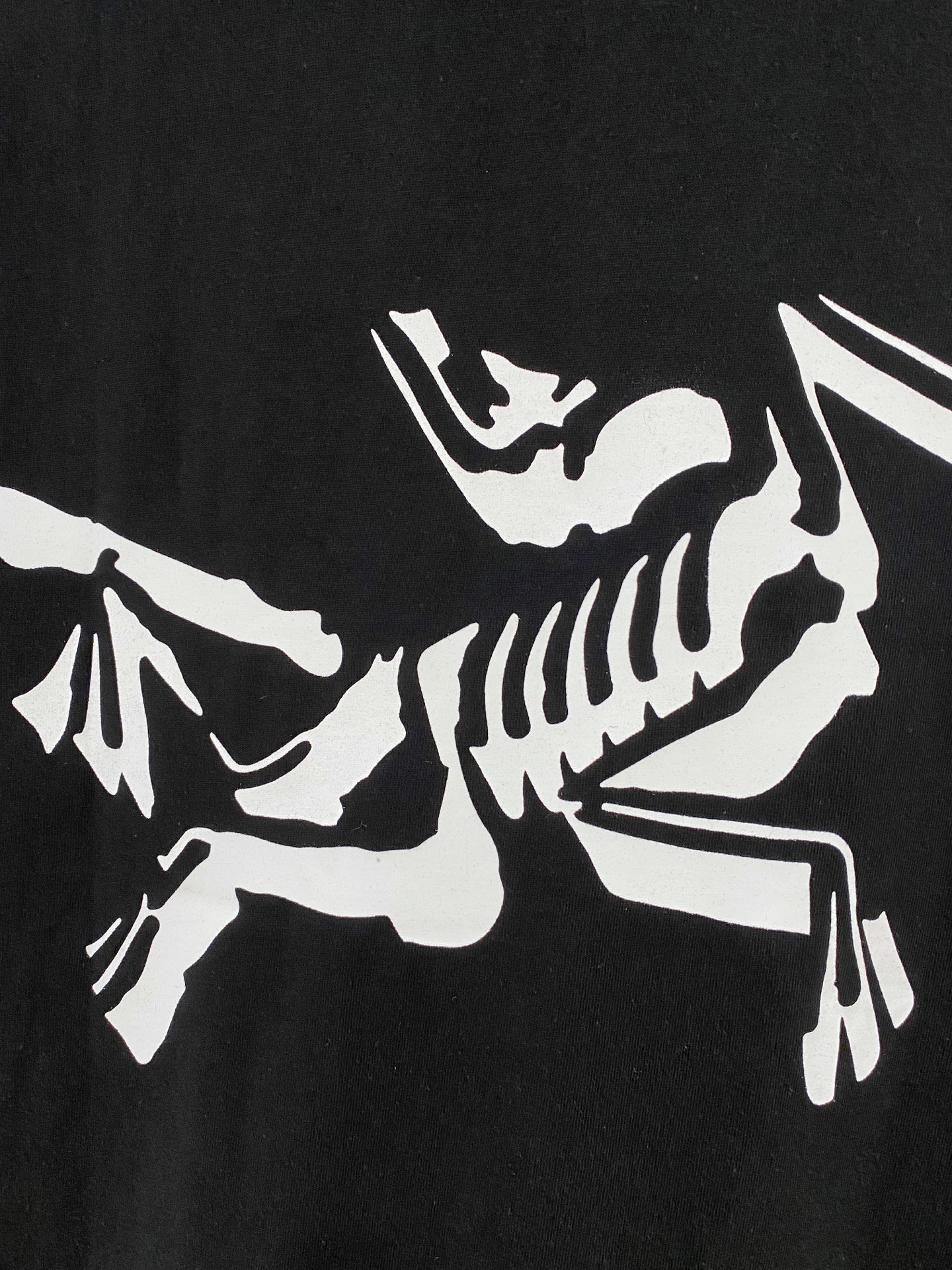 ss始祖鸟纯棉最新面料经典标识图案logo时尚简约潮流短袖，最顶级的品质专柜原单短袖，顶级制作工艺进口面