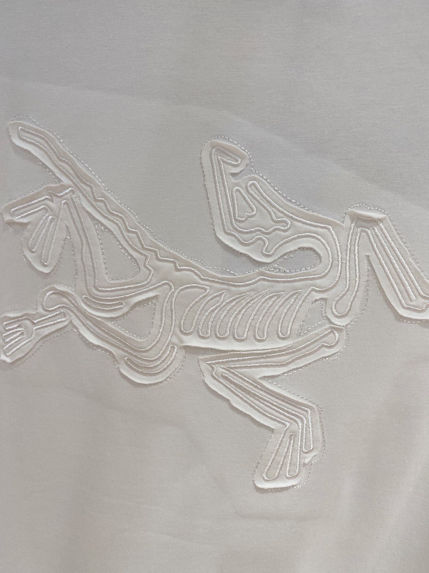 ss始祖鸟纯棉最新面料经典标识图案logo时尚简约潮流短袖，最顶级的品质专柜原单短袖，顶级制作工艺进口面