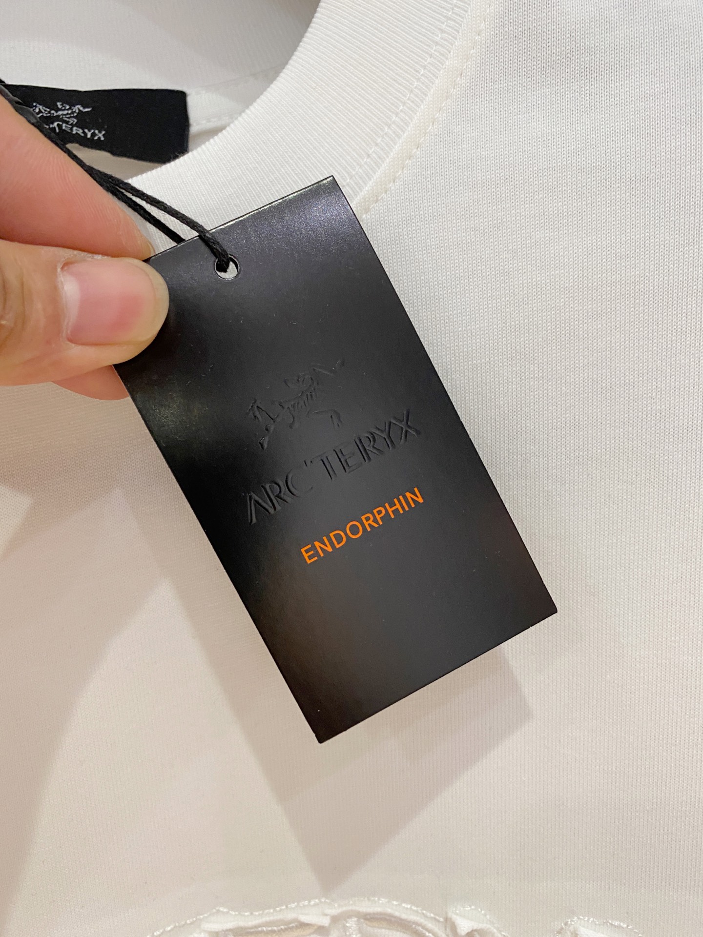 ss始祖鸟纯棉最新面料经典标识图案logo时尚简约潮流短袖，最顶级的品质专柜原单短袖，顶级制作工艺进口面