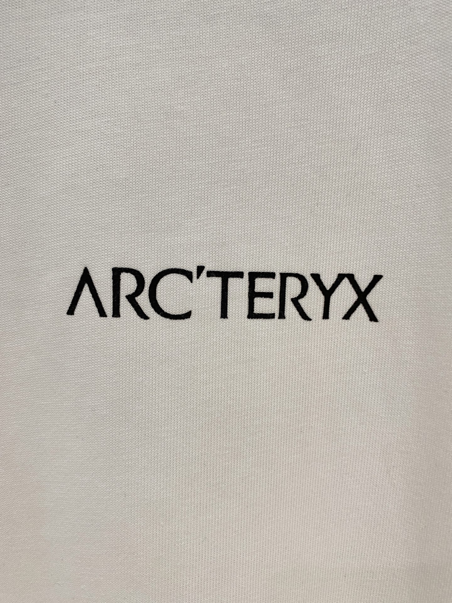 ss始祖鸟纯棉最新面料经典标识图案logo时尚简约潮流短袖，最顶级的品质专柜原单短袖，顶级制作工艺进口面