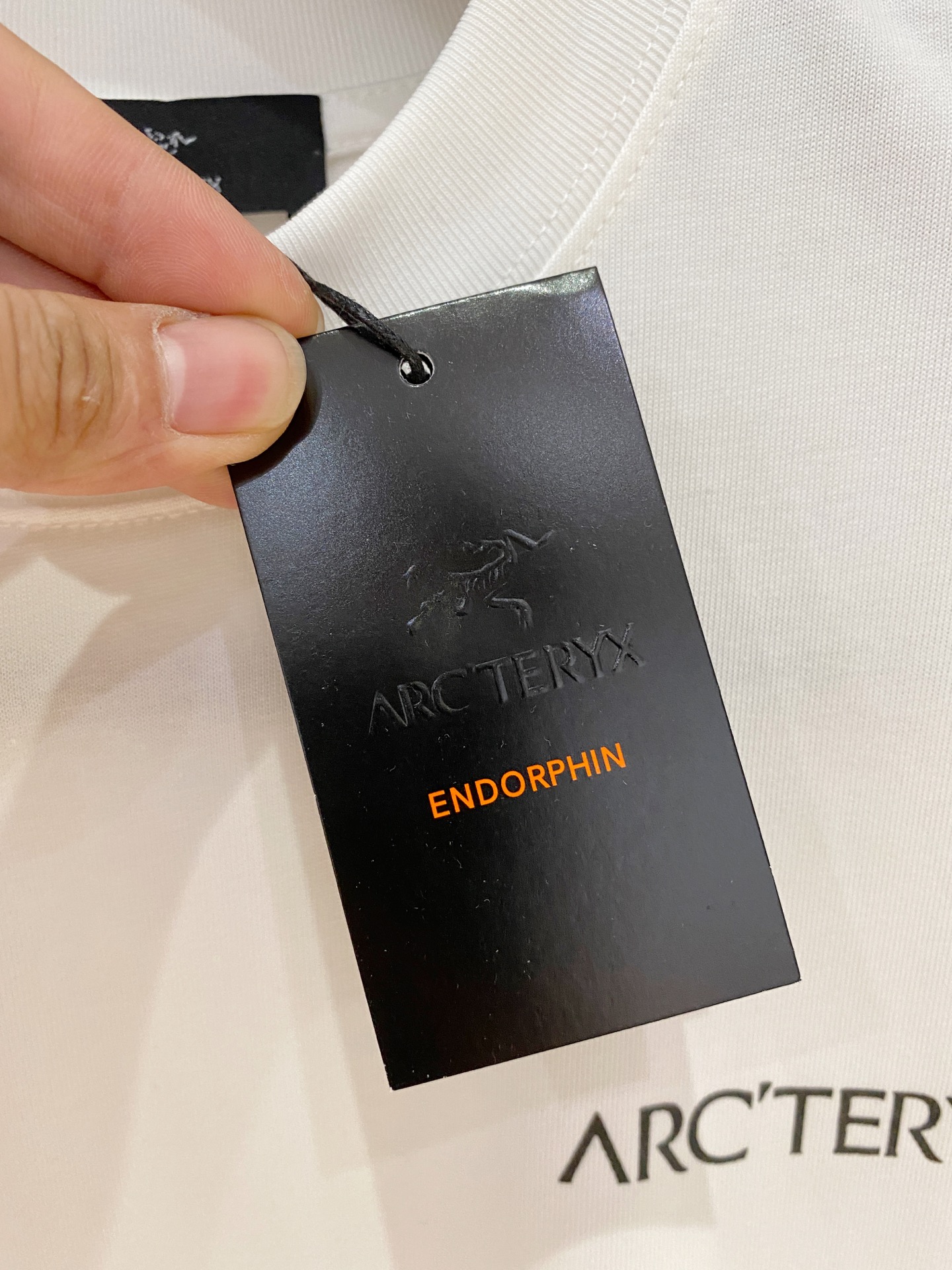 ss始祖鸟纯棉最新面料经典标识图案logo时尚简约潮流短袖，最顶级的品质专柜原单短袖，顶级制作工艺进口面