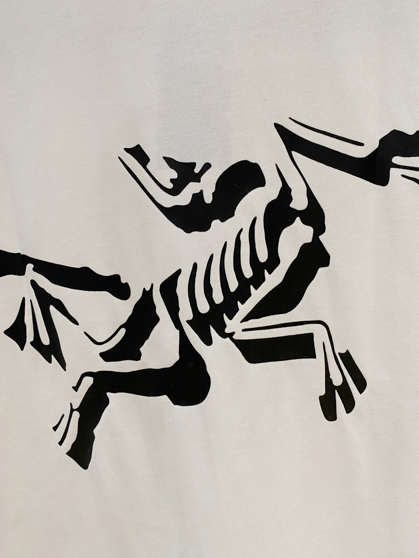 ss始祖鸟纯棉最新面料经典标识图案logo时尚简约潮流短袖，最顶级的品质专柜原单短袖，顶级制作工艺进口面