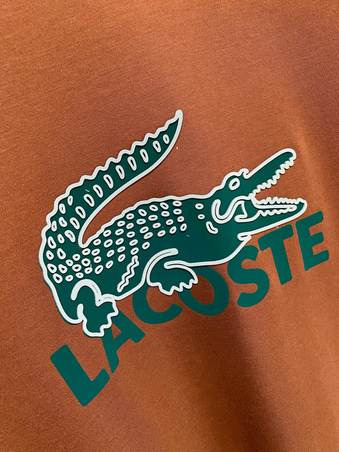 P鳄鱼🐊25ss秋季【新品】新款贸易订单圆领长袖打底衫长袖T恤网红款！上身舒适透气，不僵硬，整体有着丰富