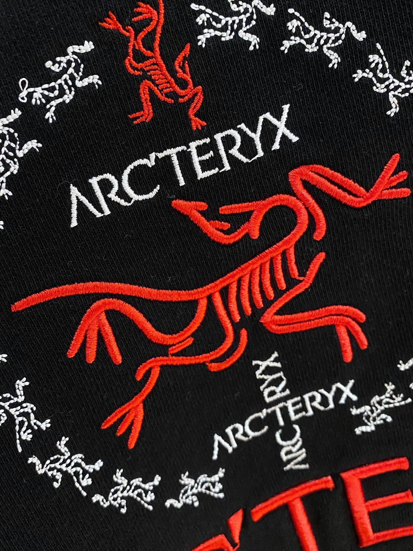 🌾始祖鸟25SS【新品】最新最顶级版本精美工艺圆领卫衣，最顶级的品质专柜原单套头衫，顶级制作工艺进口面料