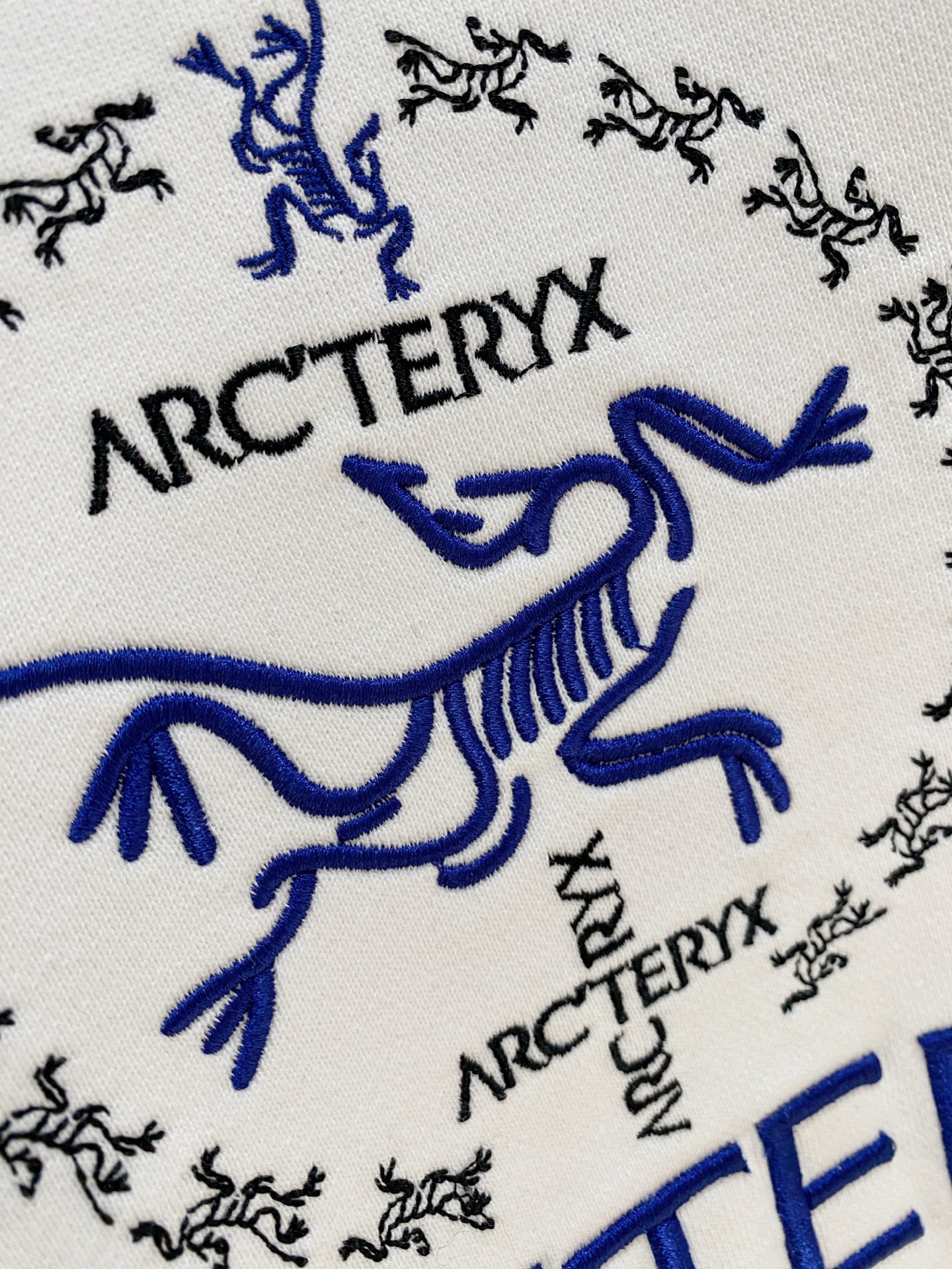 🌾始祖鸟25SS【新品】最新最顶级版本精美工艺圆领卫衣，最顶级的品质专柜原单套头衫，顶级制作工艺进口面料