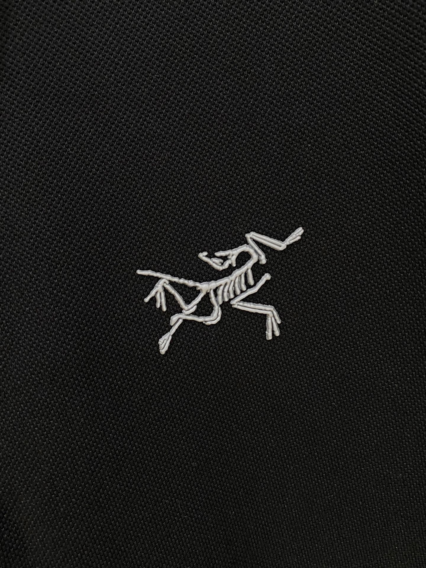 始祖鸟 重磅推荐！春夏新品 专柜在售 时尚高端男装Polo-胸前Logo个性时尚/进口顶极高密度丝光珠地