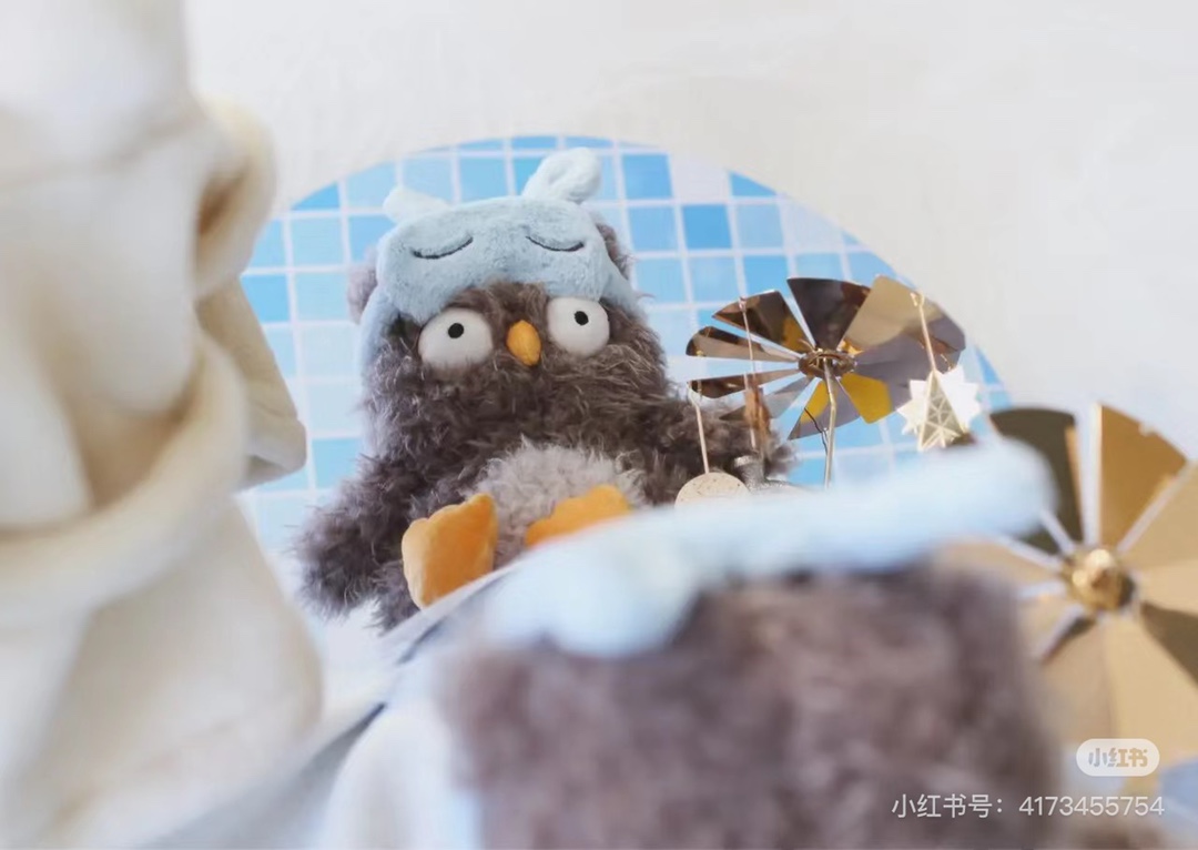 眼神睿智的眼罩猫头鹰，越看越可爱。给我的乖崽崽们都收纳好，每天看到它们都有好心情 9