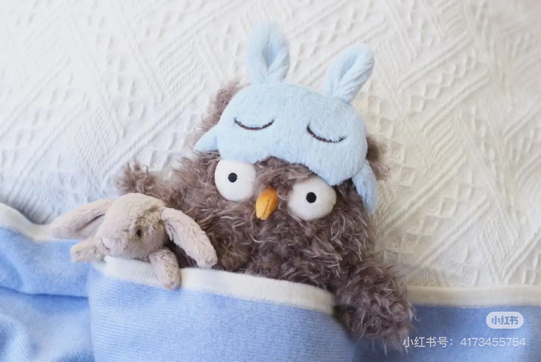 眼神睿智的眼罩猫头鹰，越看越可爱。给我的乖崽崽们都收纳好，每天看到它们都有好心情 8