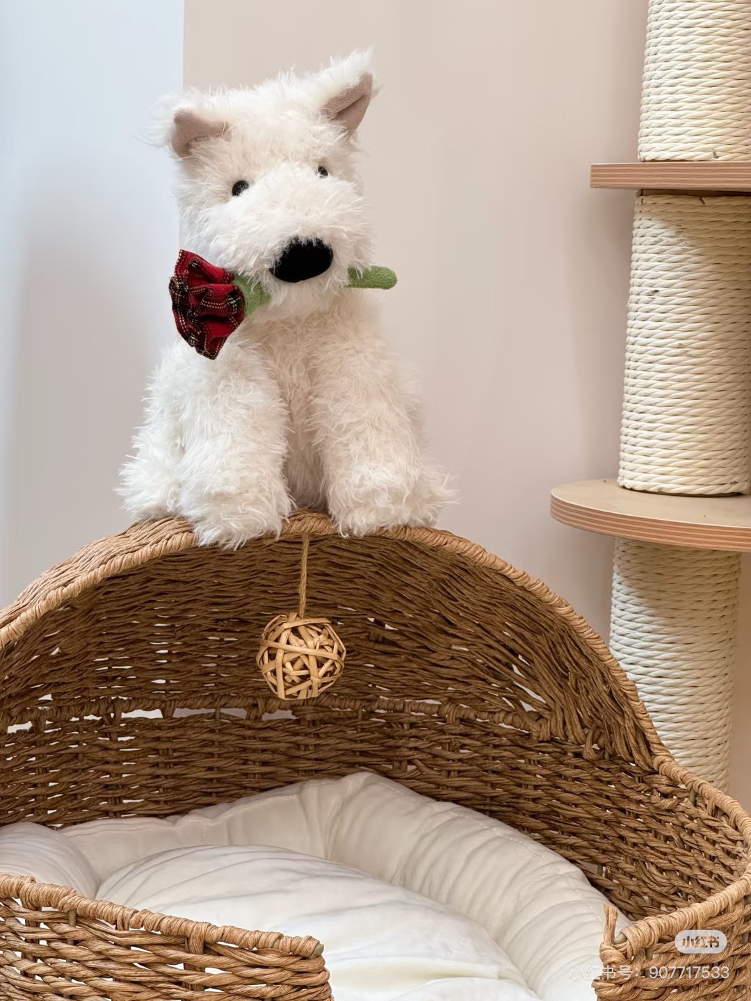 谁能拒绝软软修勾，jellycat新品首发，情人节西高地告白门罗苏格兰梗！！比想象中大好多啊，软乎乎哒好值！！ 6