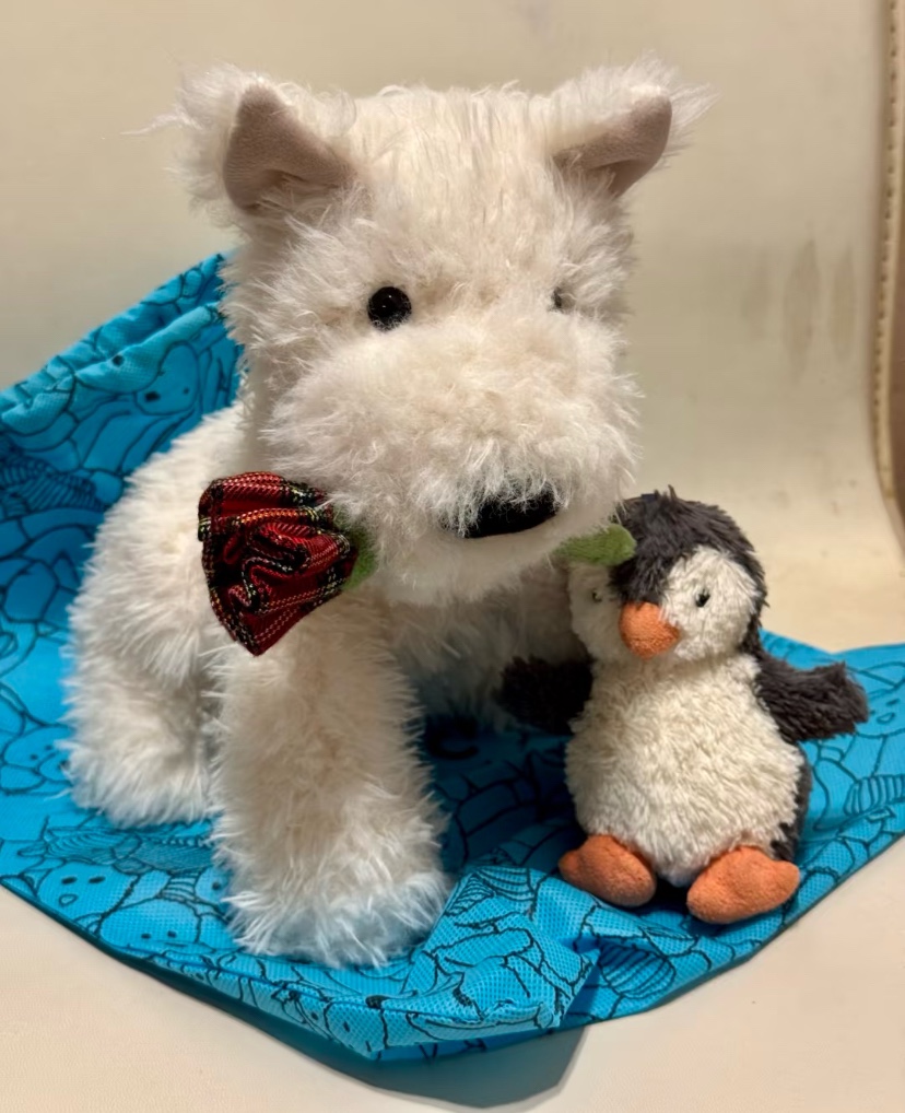 谁能拒绝软软修勾，jellycat新品首发，情人节西高地告白门罗苏格兰梗！！比想象中大好多啊，软乎乎哒好值！！ 3