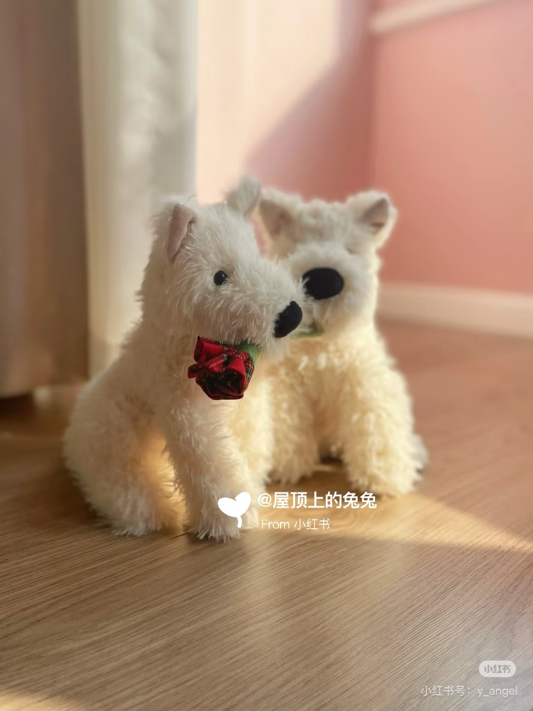 幸福小狗jellycat玫瑰西高地，太可爱了，好软好好rua！！最佳上下班搭子，太幸福了！！ 8