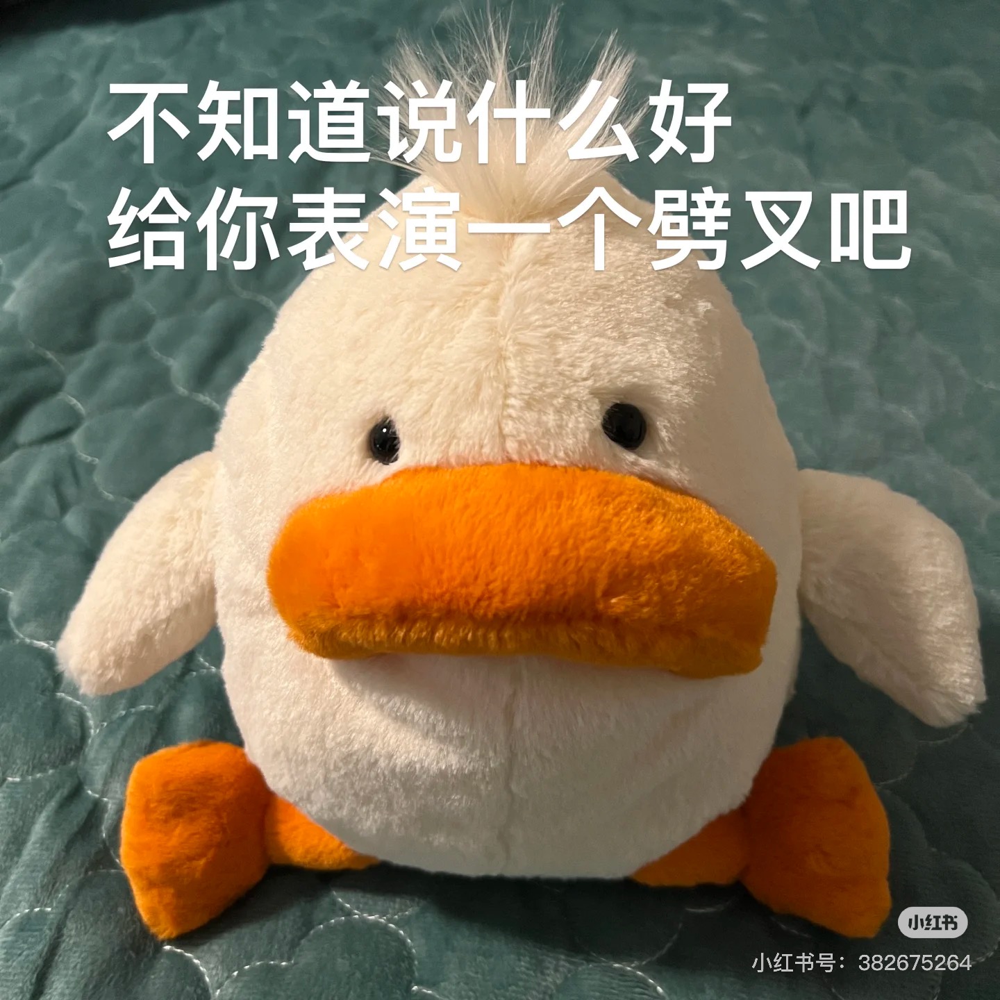 NO:809825,DeliaDuck is cute and cute, feels good in the hand, and Tony Leung has the same sausage mouth, buy them all!!!, Jellycat doll trendy department store19860909DeliaDuck丑萌丑萌的,手感很好,梁朝伟同款香肠嘴,都去买! ! !,Jellycat公仔潮品百货,accessory
