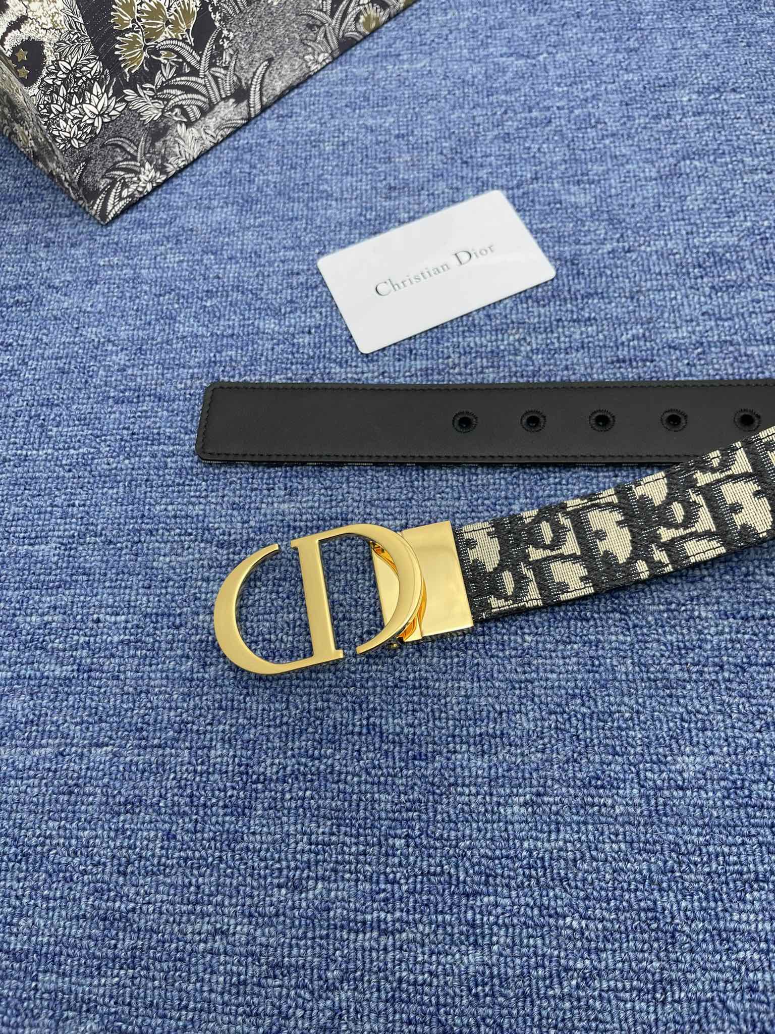 Zodio Double-Sided Belt: Elegant Design with Gold Metal CD Button - 图片 6