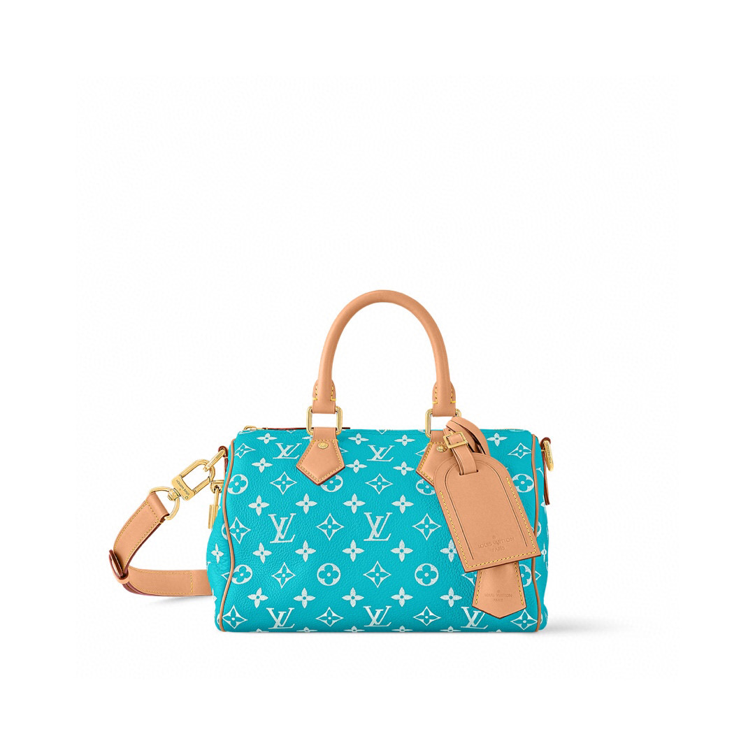 NO:552207,All steel duty-free [SEEDY 9 BANDOULIRE 25 handbag] m24443 brown m11561 lake blue m24423 green m24424 blue m24425 red m24426 yellow,19860909全钢免税【SEEDY 9 BANDOULIRE 25 手袋】 m24443 棕色 m11561 湖水蓝 m24423 绿色 m24424 蓝色 m24425 红色 m24426 黄色,,Bag