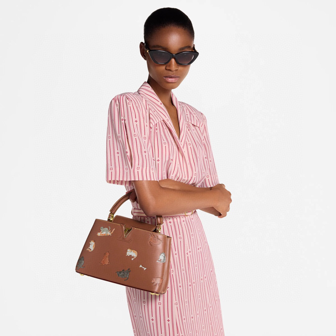 NO:575105,[CAUCINES mini handbag] m25874 brown/cat official website picture,19860909【CAUCINES mini 手袋】 m25874 棕色/猫咪 官网图,,Bag