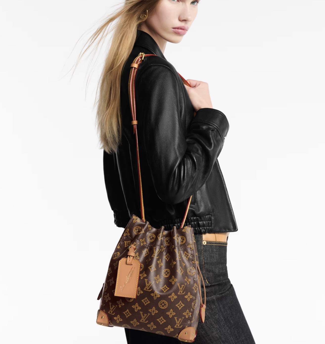 LV Style Brown Canvas Top Handle Bag style reference detail image 7 from source 760052