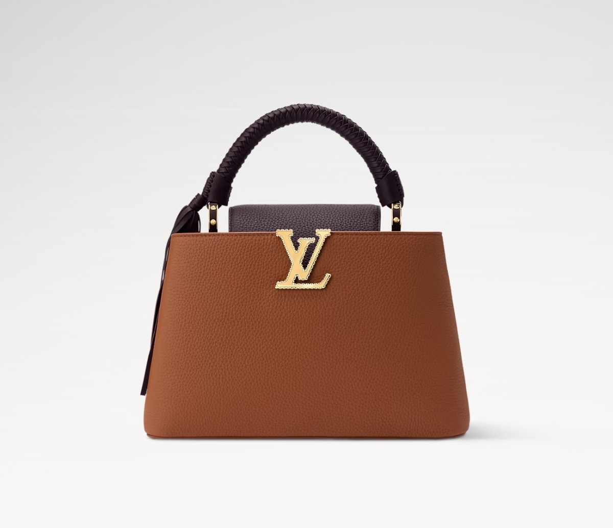 NO:687886,[Sac Caucines Handbag] M48865 25463 Brown/Purple (Braided Wrist#HangingBeard) Official website picture,19860909【Sac Caucines 手袋】M48865 25463 棕色/拼紫色（编织手腕#挂须） 官网图,,Bag