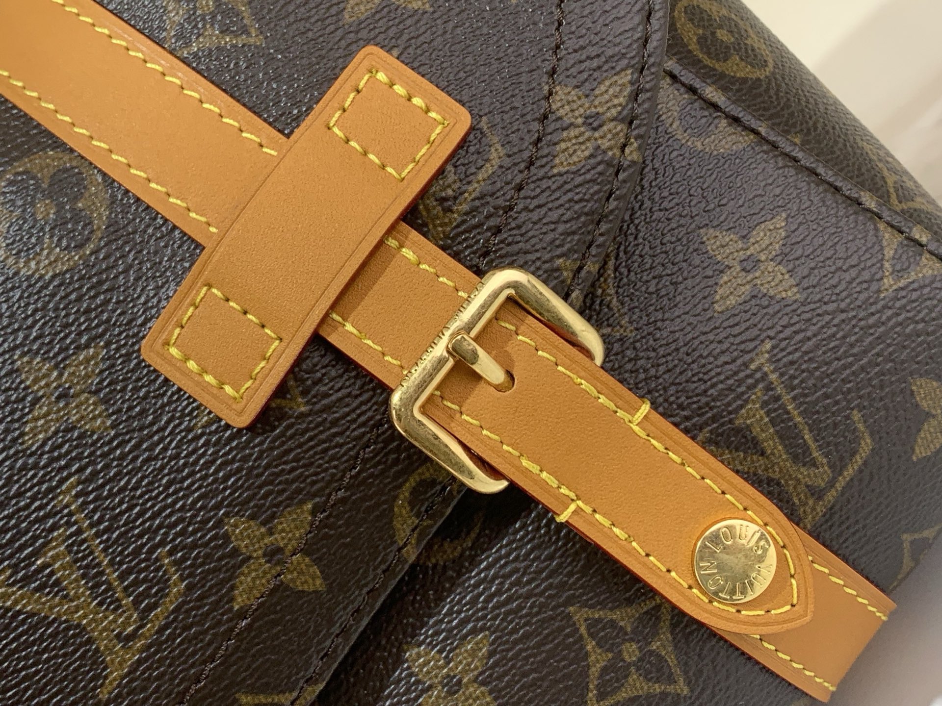 LV Style Beige Canvas Backpack Bags detail image 5 from source 770267