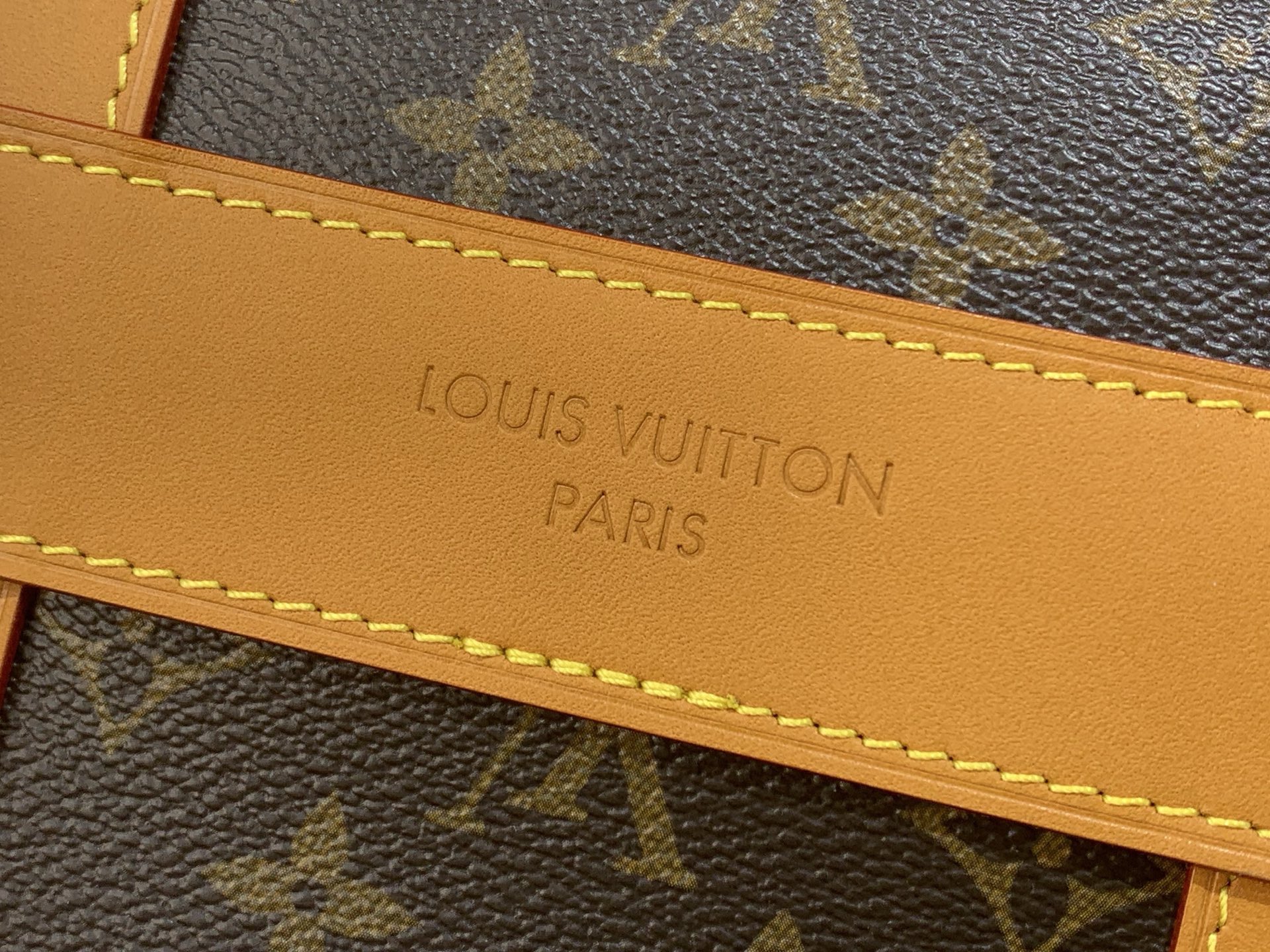LV Style Beige Canvas Backpack Bags detail image 6 from source 770267