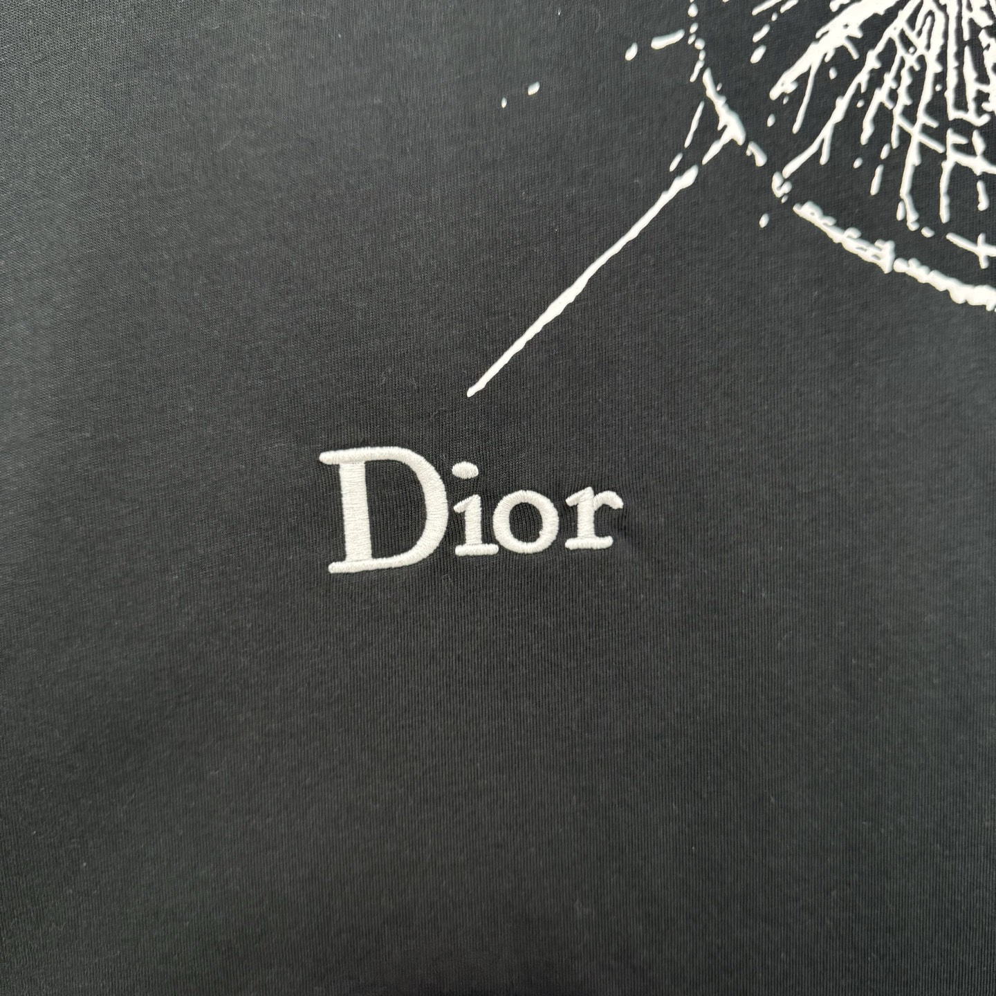 Dior Dior 迪奥 蜘蛛网蛛印花短袖T恤