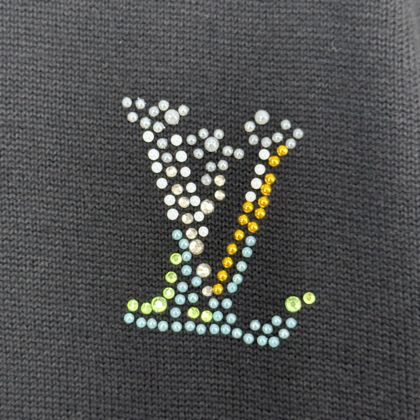 Louis Vuitton 1v SS26 Monogram花卉图案烫钻短袖T恤