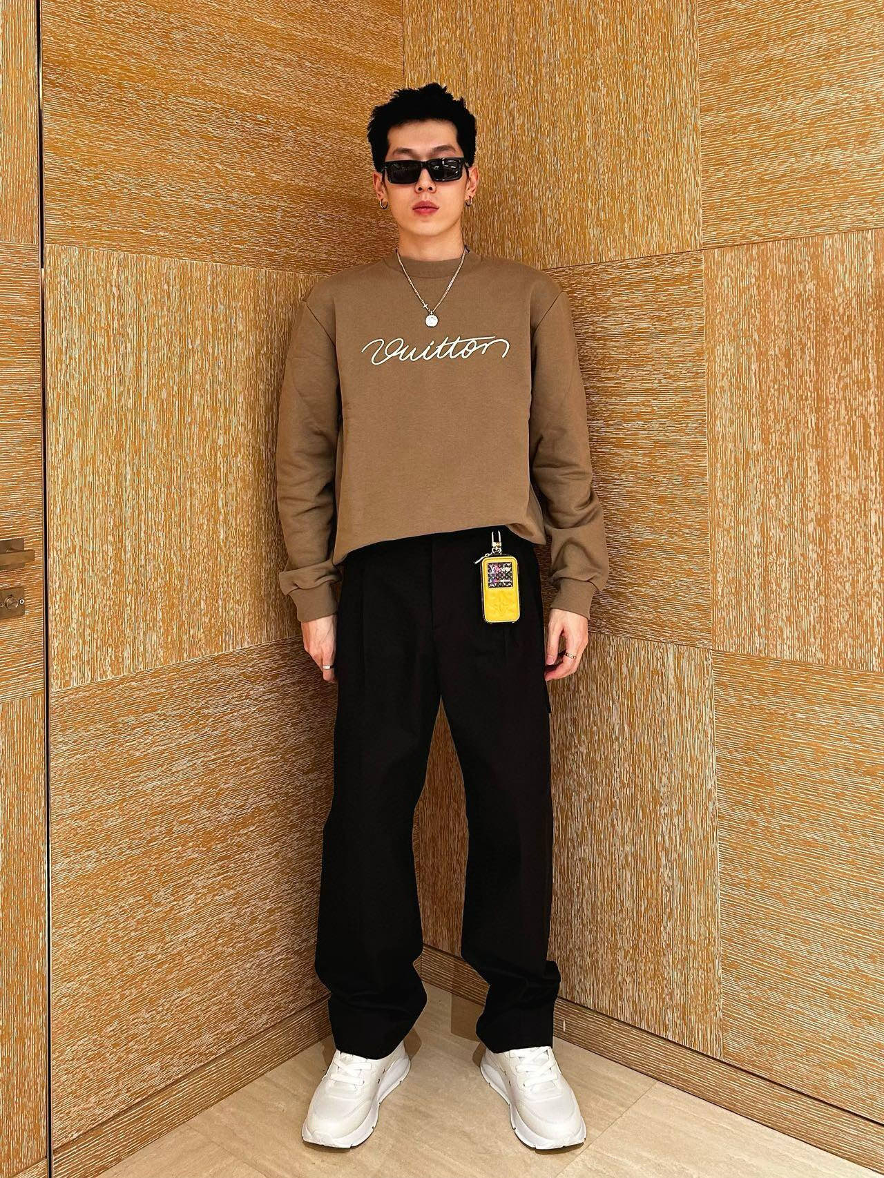 Louis Vuitton  卫衣服装 4