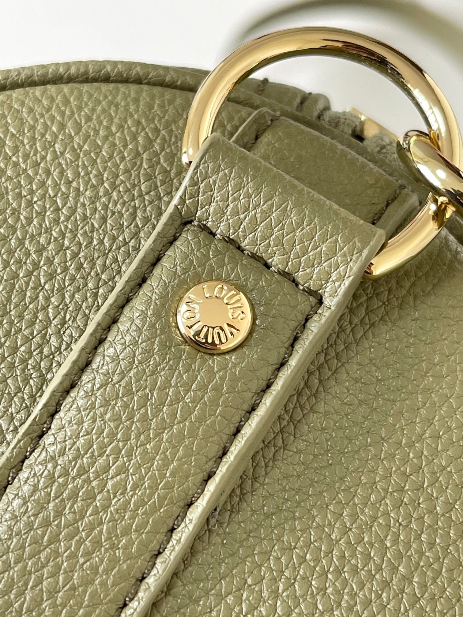 Louis Vuitton Luxury Handbag Collection 8