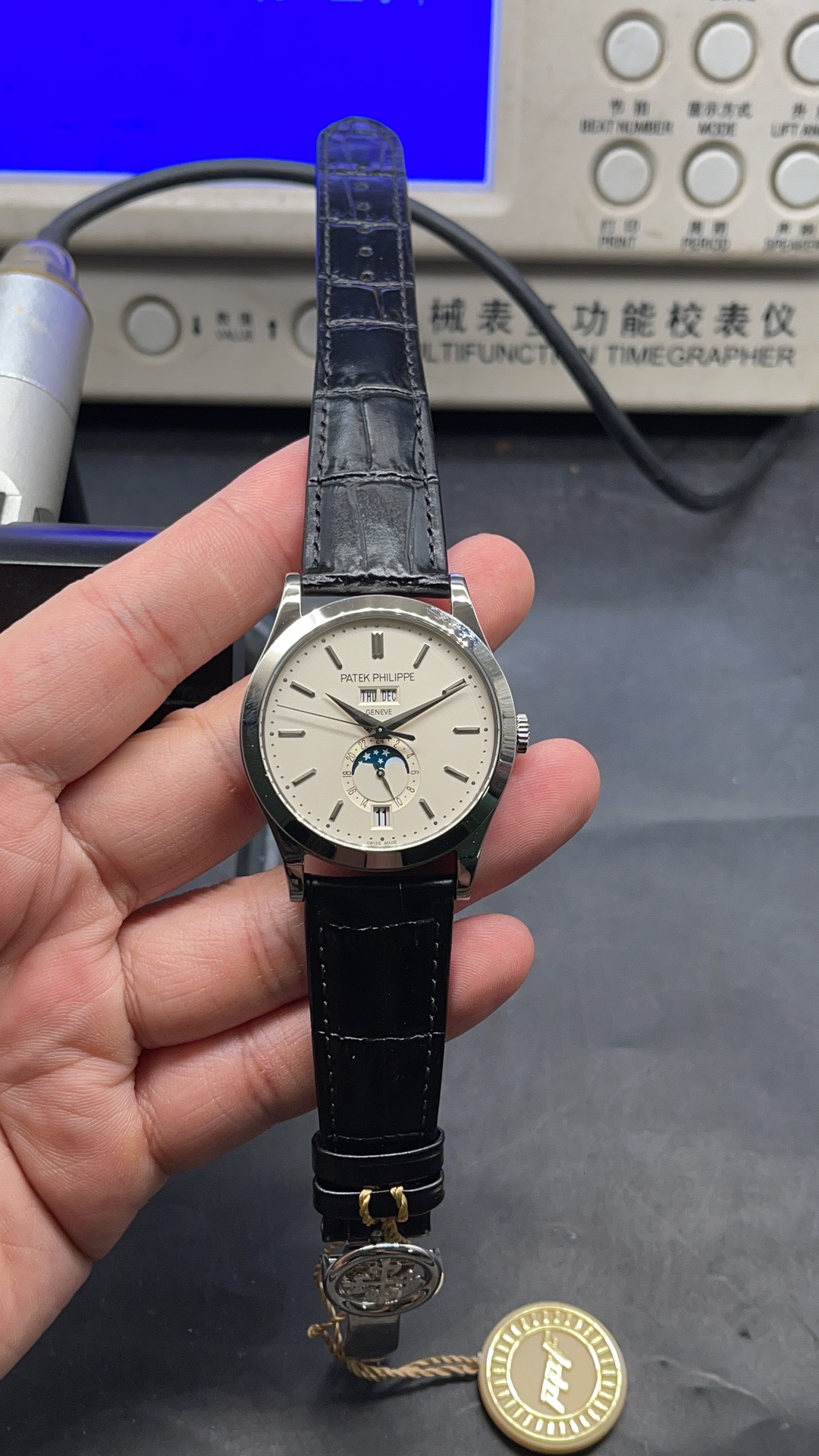 Patek Philippe 1: 1
 Orologio da Polso Grigio