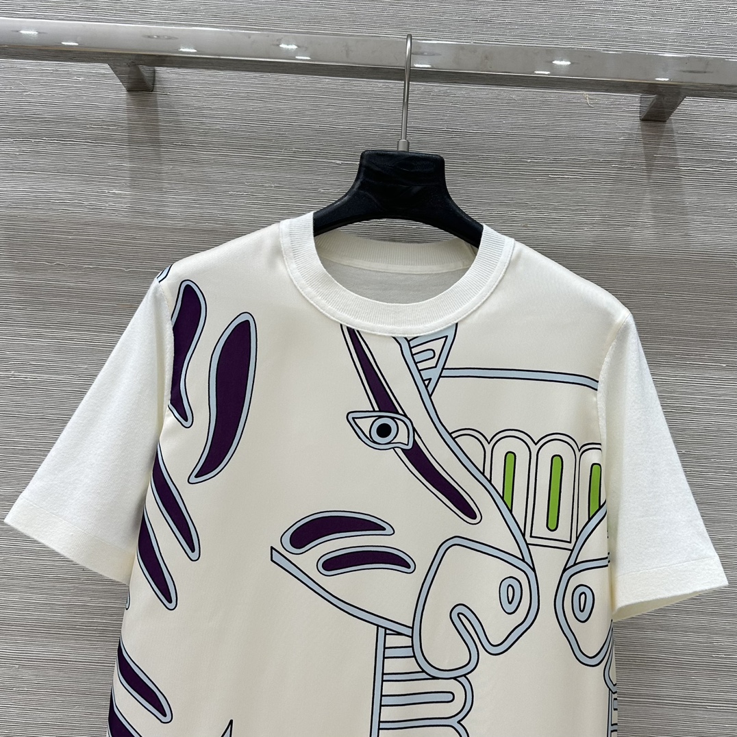 Tory B* 25 Spring-Summer Zebra Tweezer Suit: Elegant and Versatile Design - 图片 2