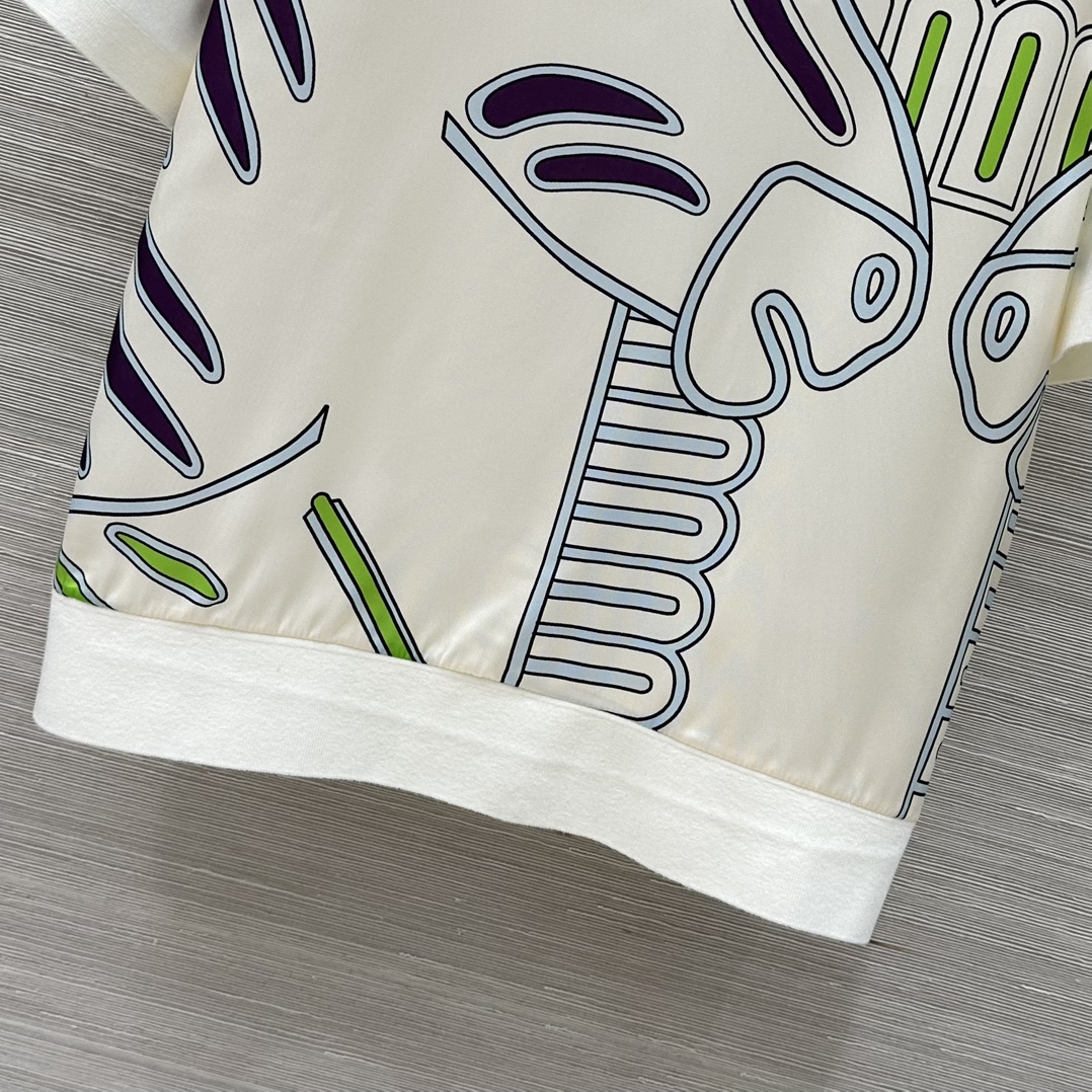 Tory B* 25 Spring-Summer Zebra Tweezer Suit: Elegant and Versatile Design - 图片 5