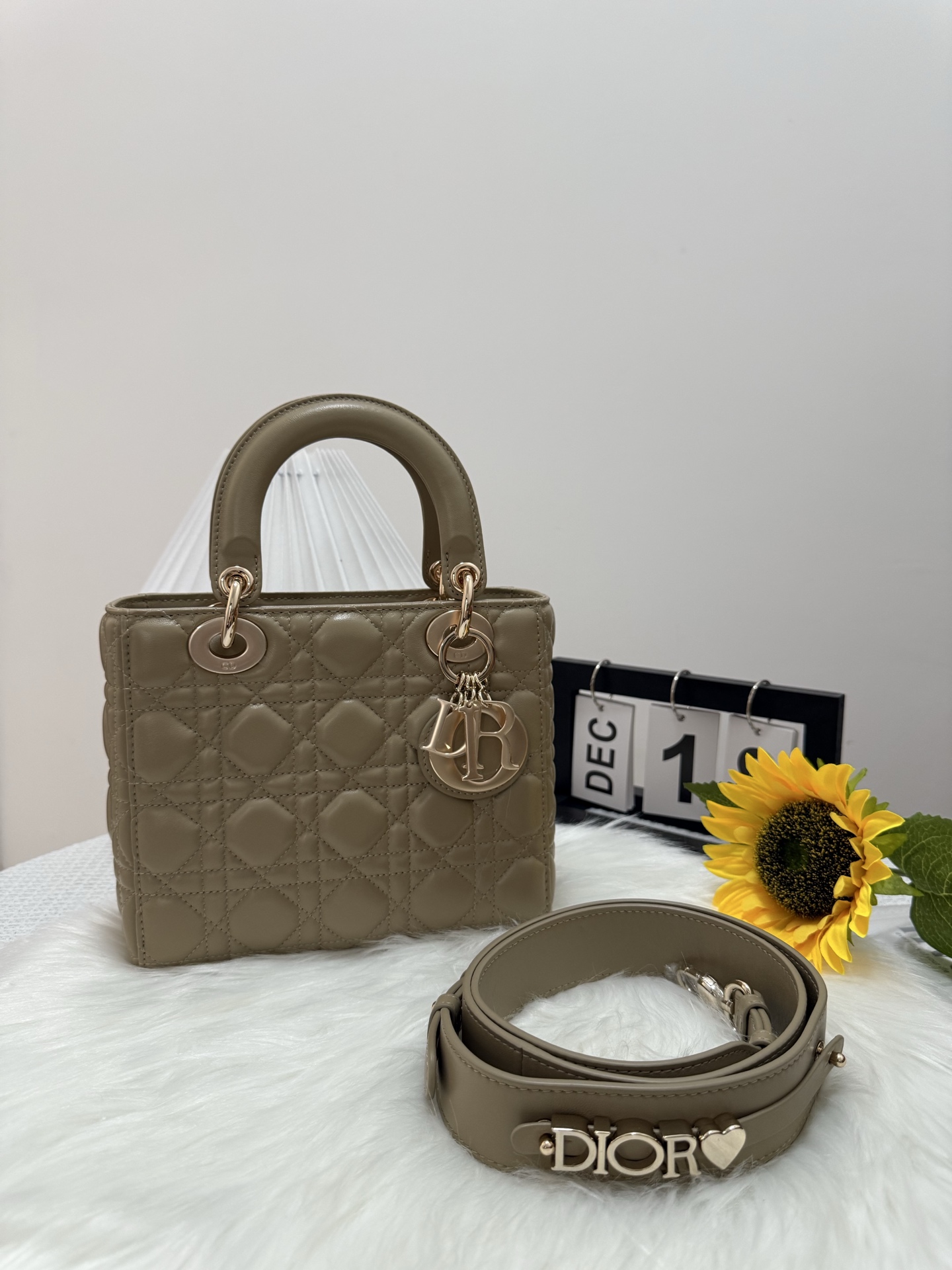 Lady Diorr Handbag, Nude-Tone Lambskin, Gold Hardware, Iconic Design 20 x 17 x 8 cm 10 i1747583612951 8095 0 8