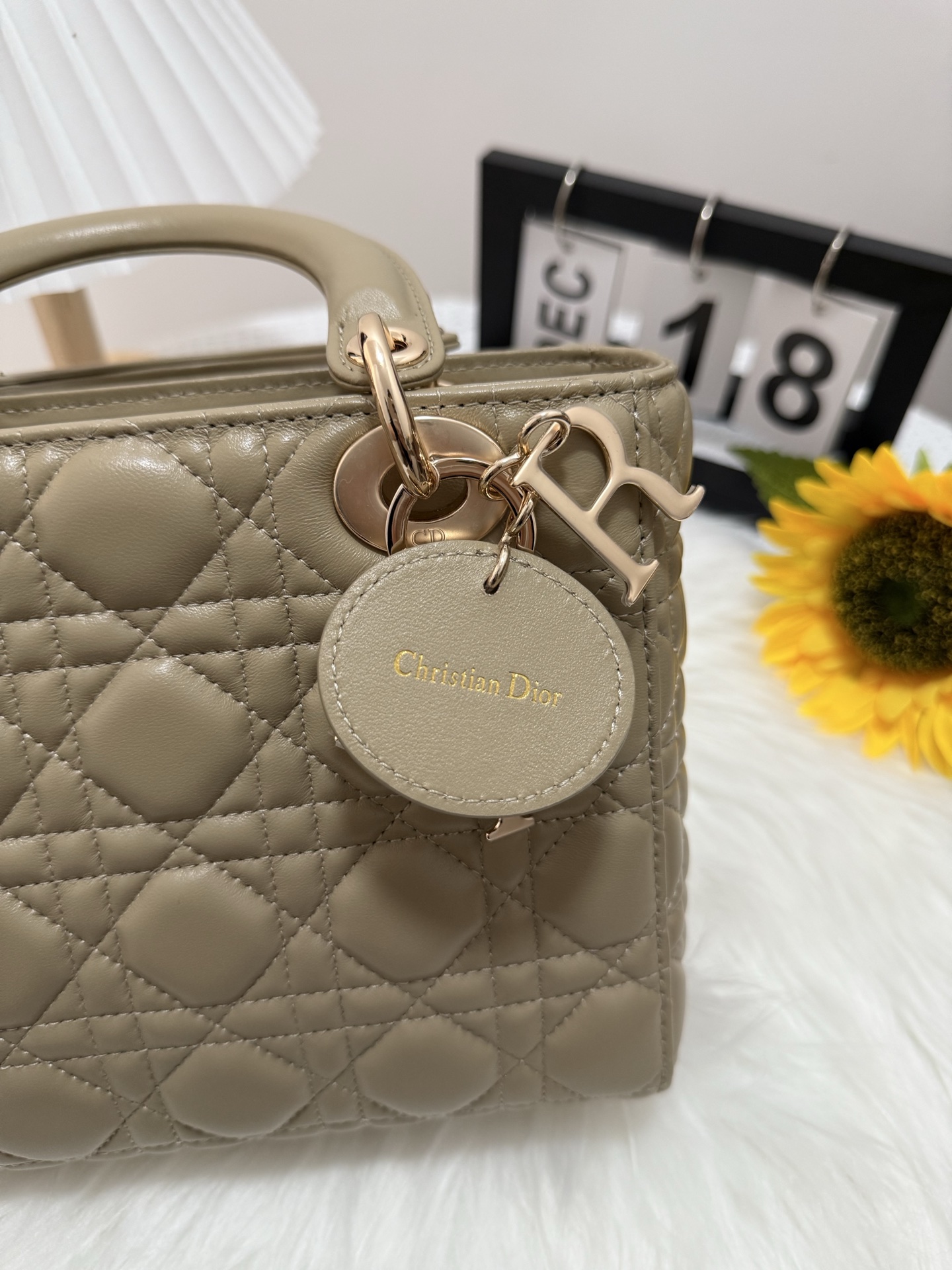 Lady Diorr Handbag, Nude-Tone Lambskin, Gold Hardware, Iconic Design 20 x 17 x 8 cm 8 i1747583614280 5130 0 6
