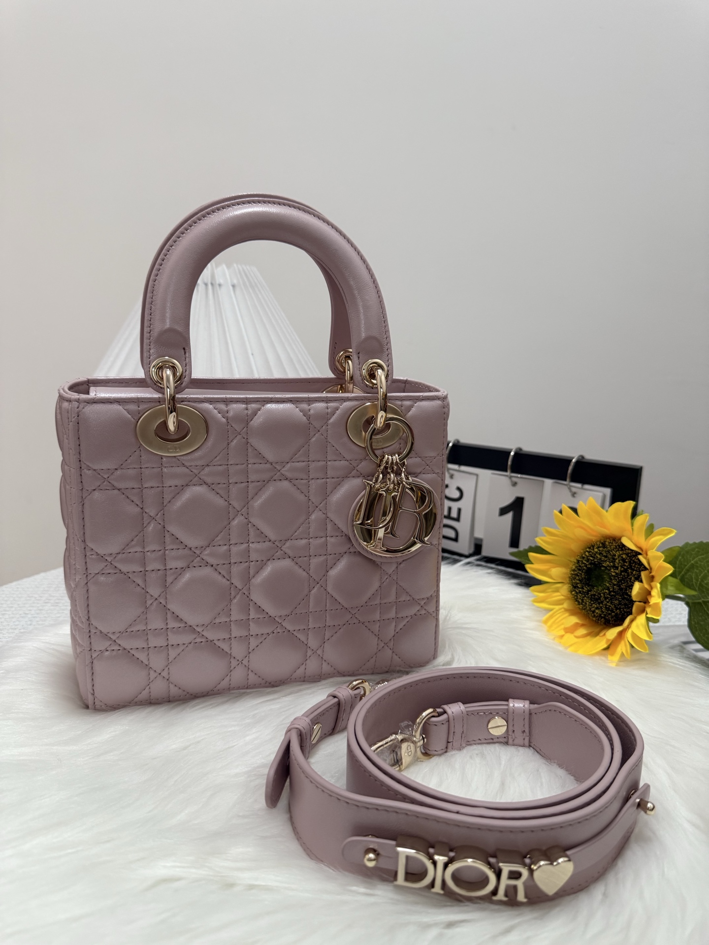 Lady Dior Mini Bag Quilted Lambskin Powder Pink with D.I.O.R. Charms 10 i1747583717673 8530 0 8