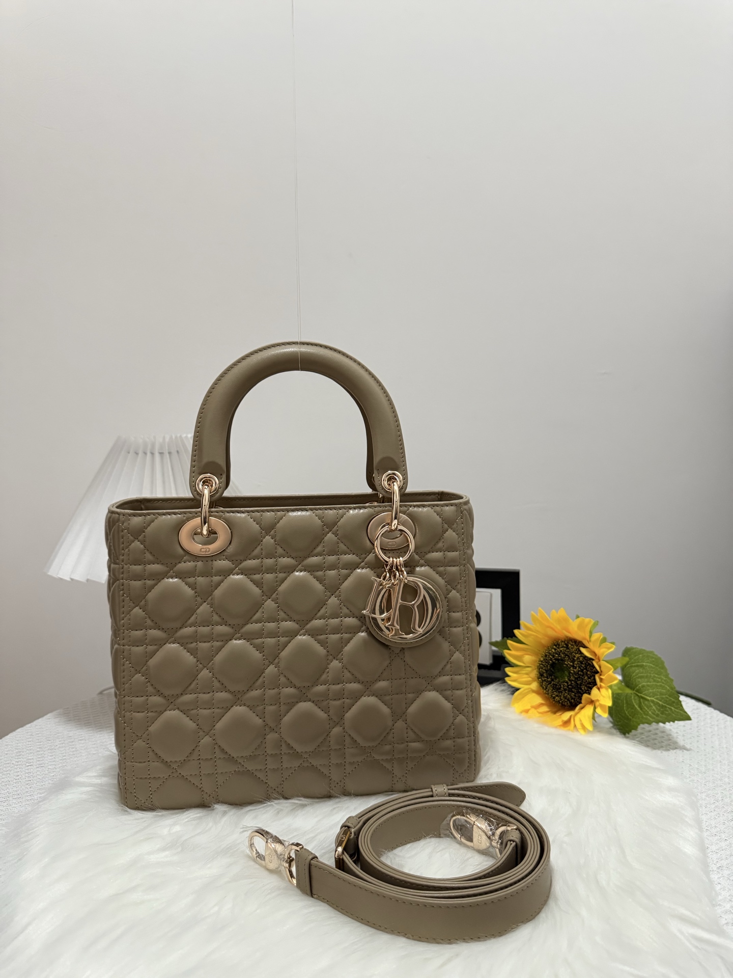 Dior Lady Bag, Five Grid Design, Flap Closure, Milk Tea Color, 24cm 9 i1747585911539 732 0 8