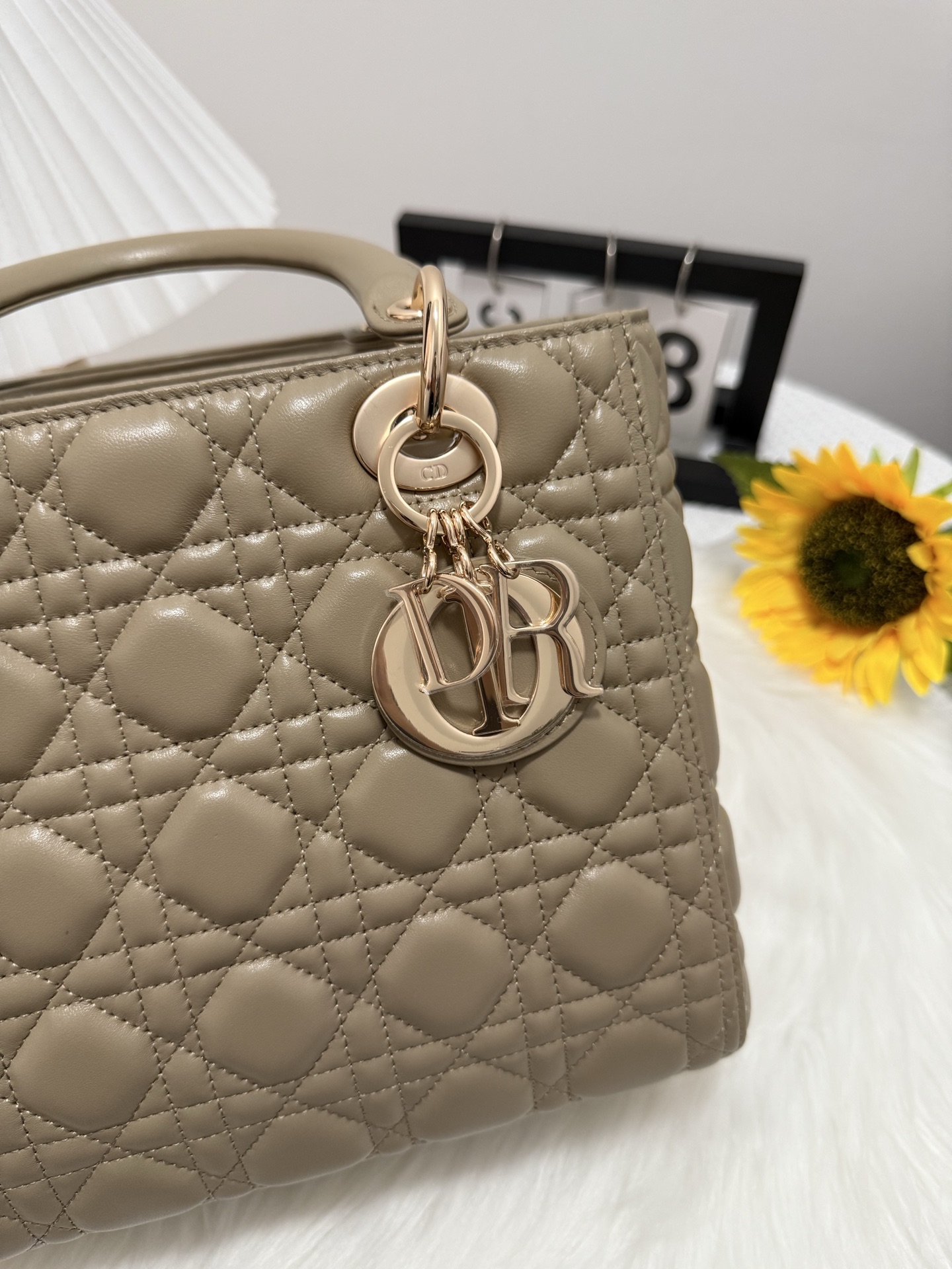 Dior Lady Bag, Five Grid Design, Flap Closure, Milk Tea Color, 24cm 7 i1747585912927 2125 0 6
