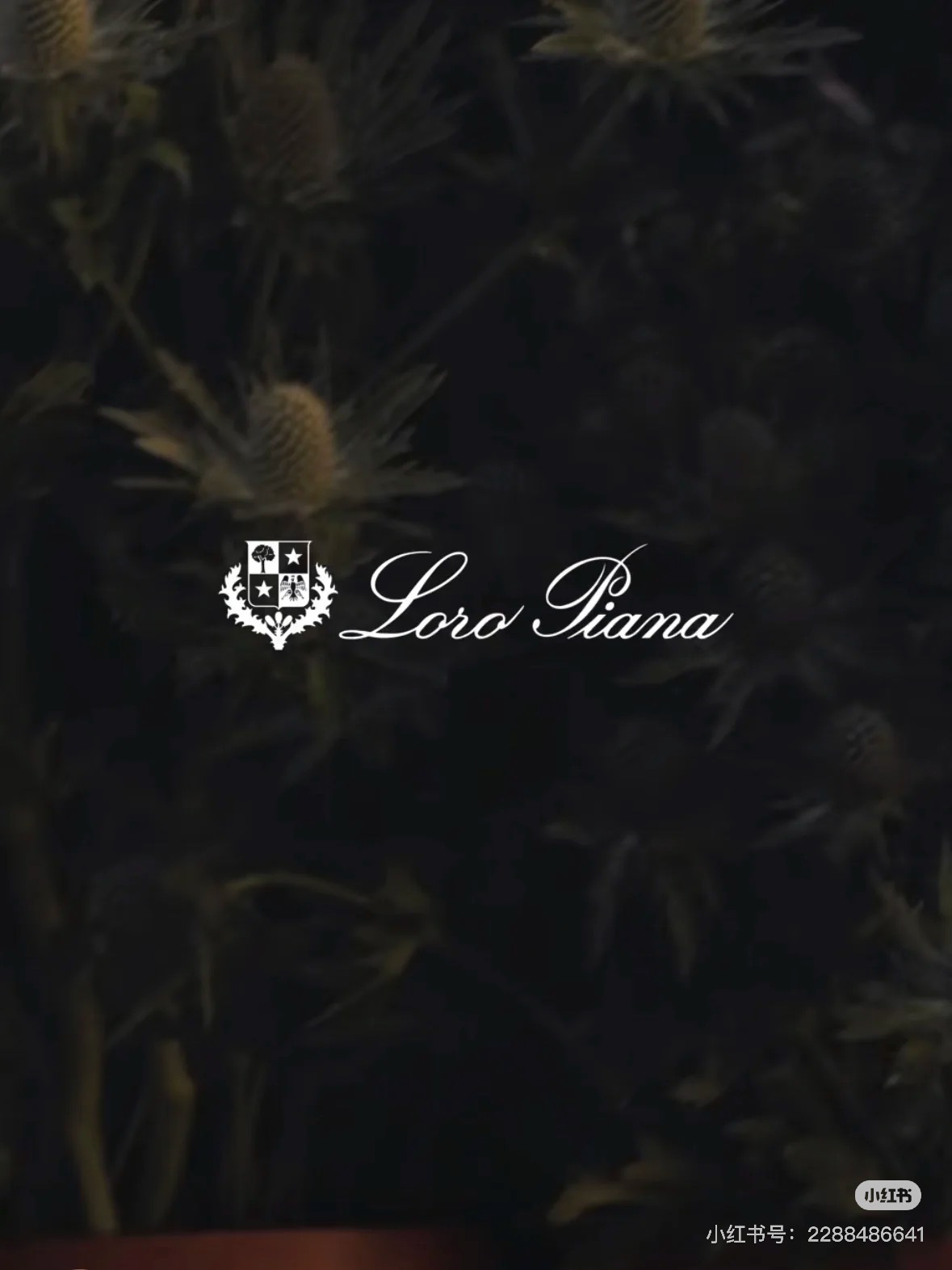 Loro Piana羊绒袜子,正是品牌对传统工艺与现代设计完美融合的诠释 3