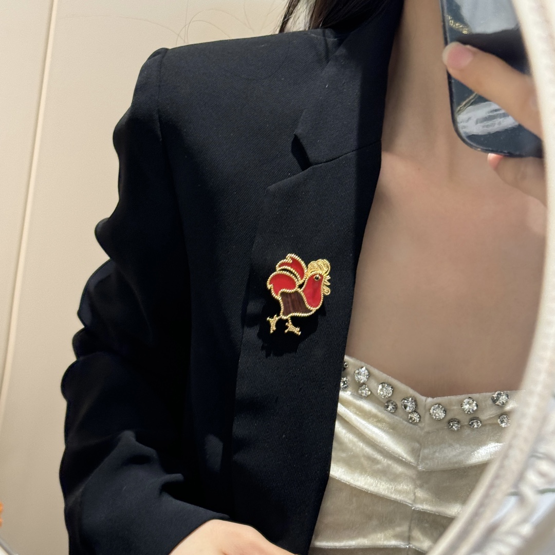 Van Cleef & Arpels Joyas Broche